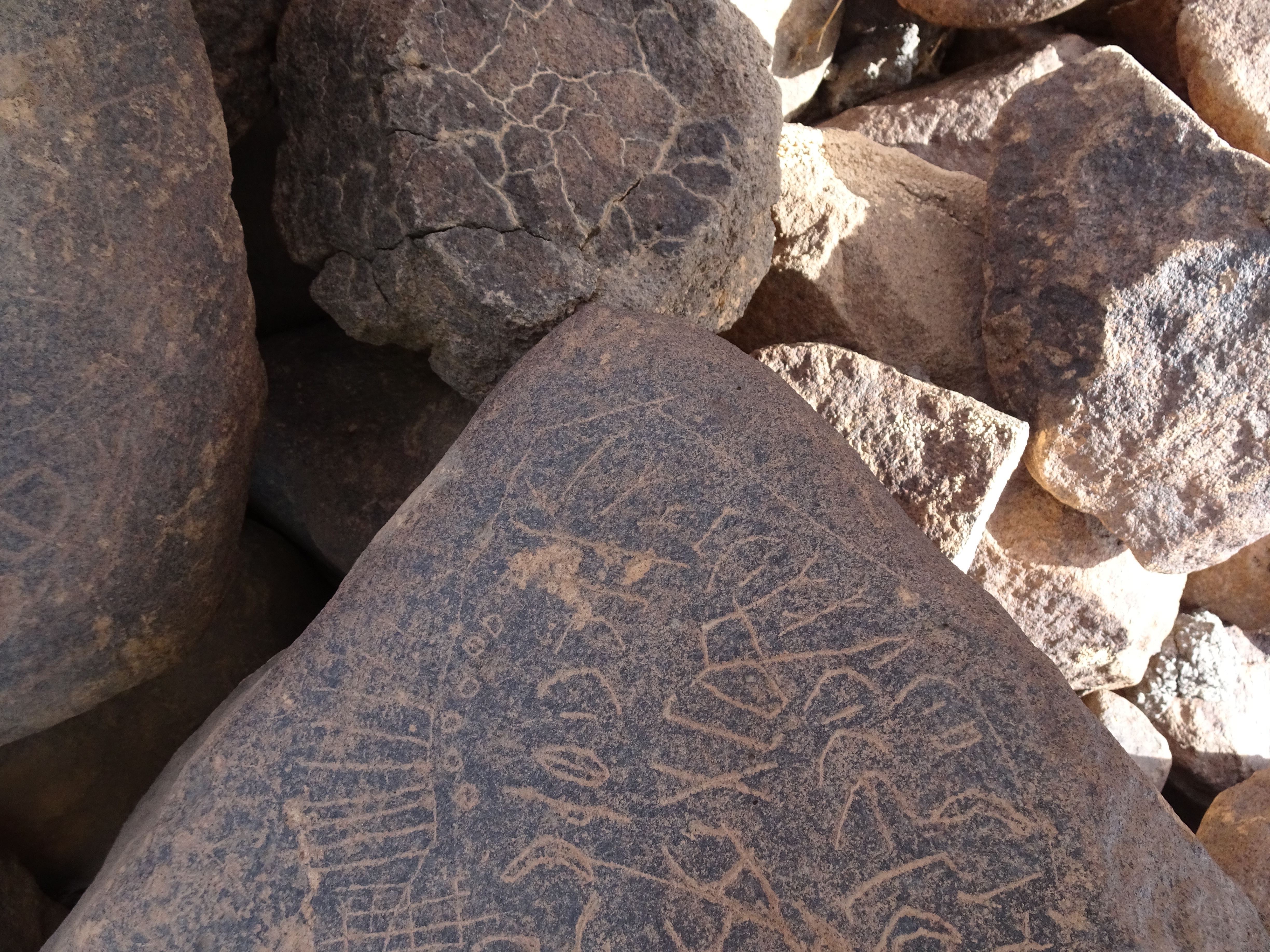 Image of siglum BES20 1814