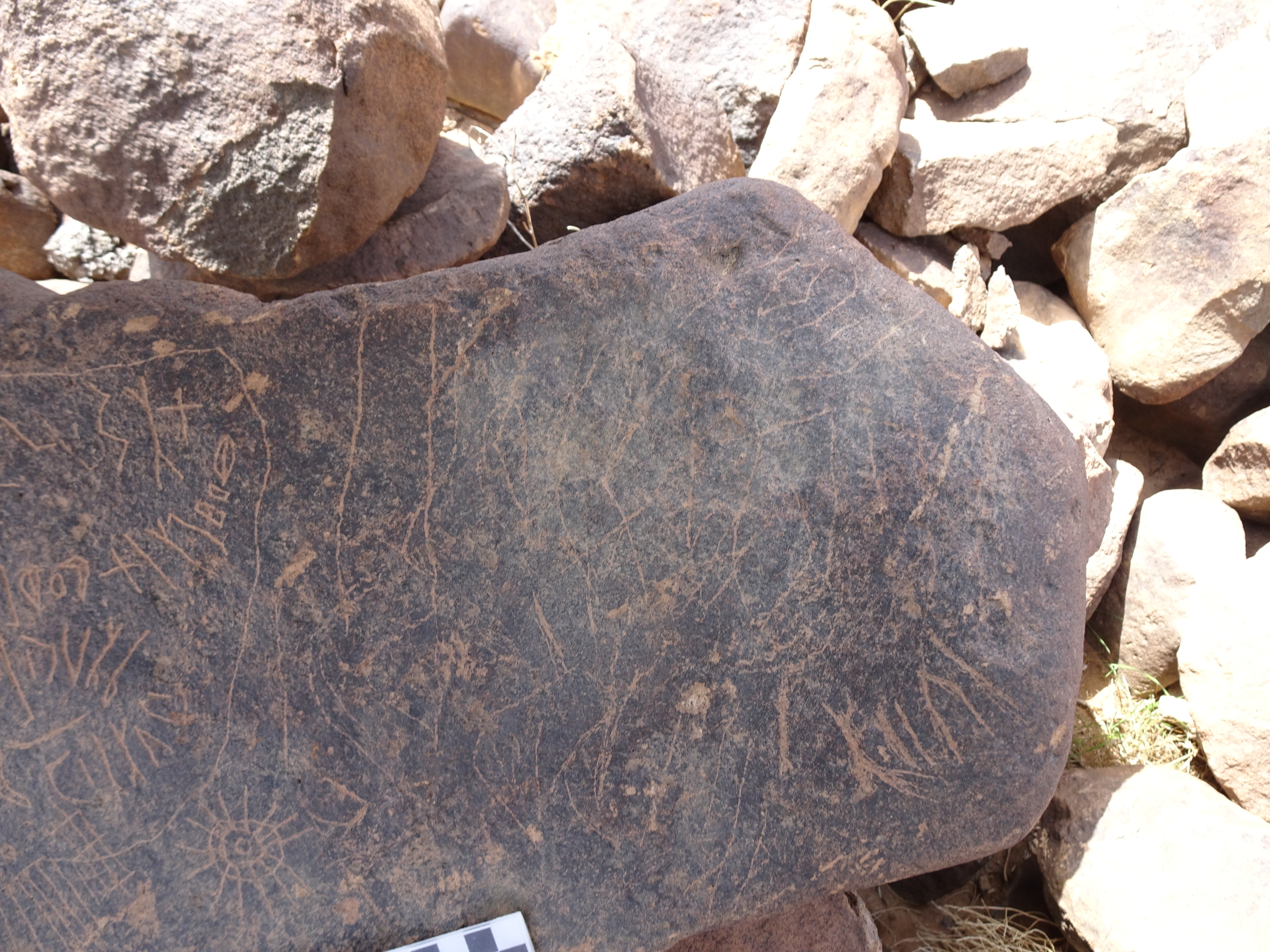 Image of siglum BES20 1814