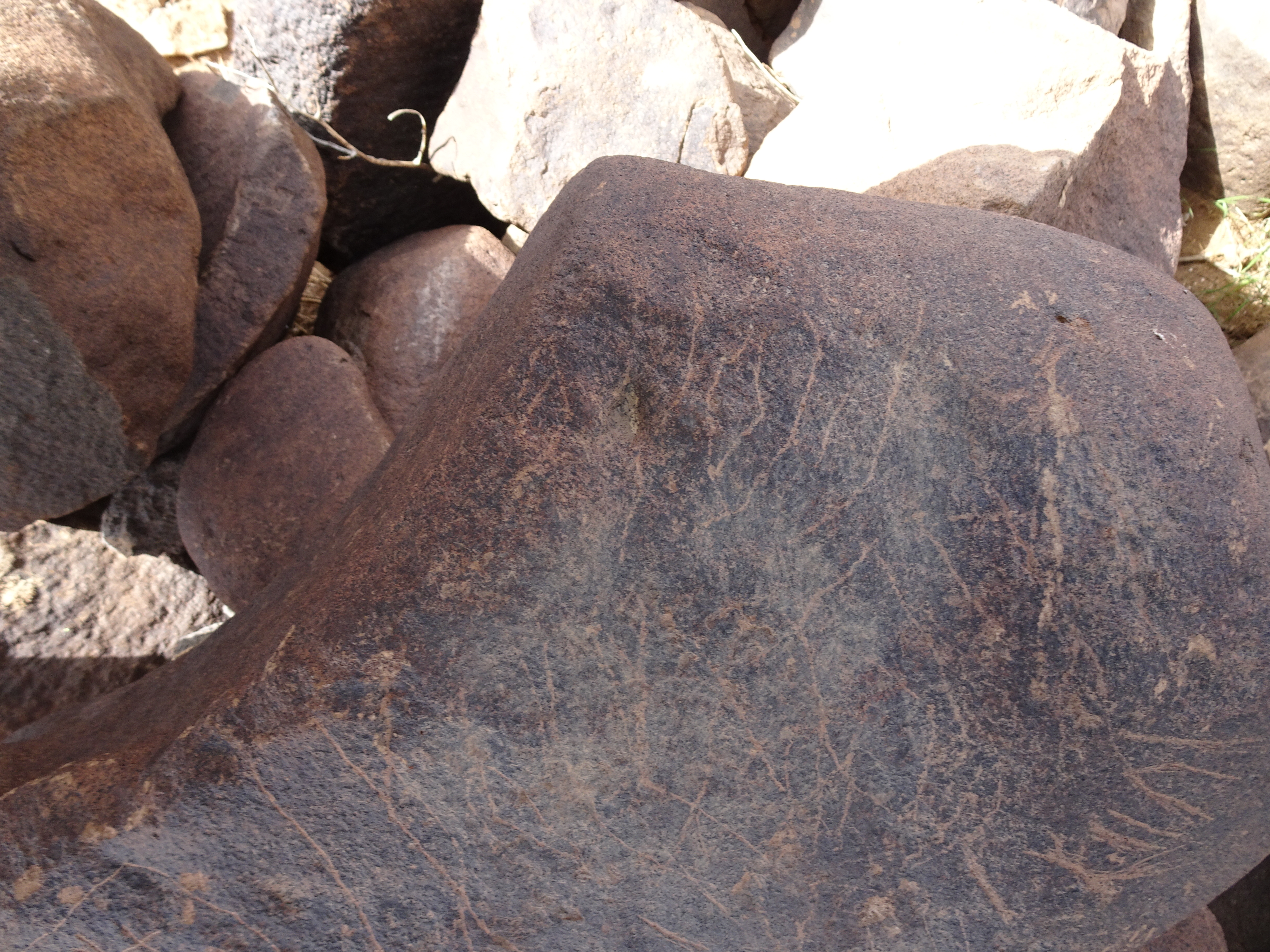 Image of siglum BES20 1815