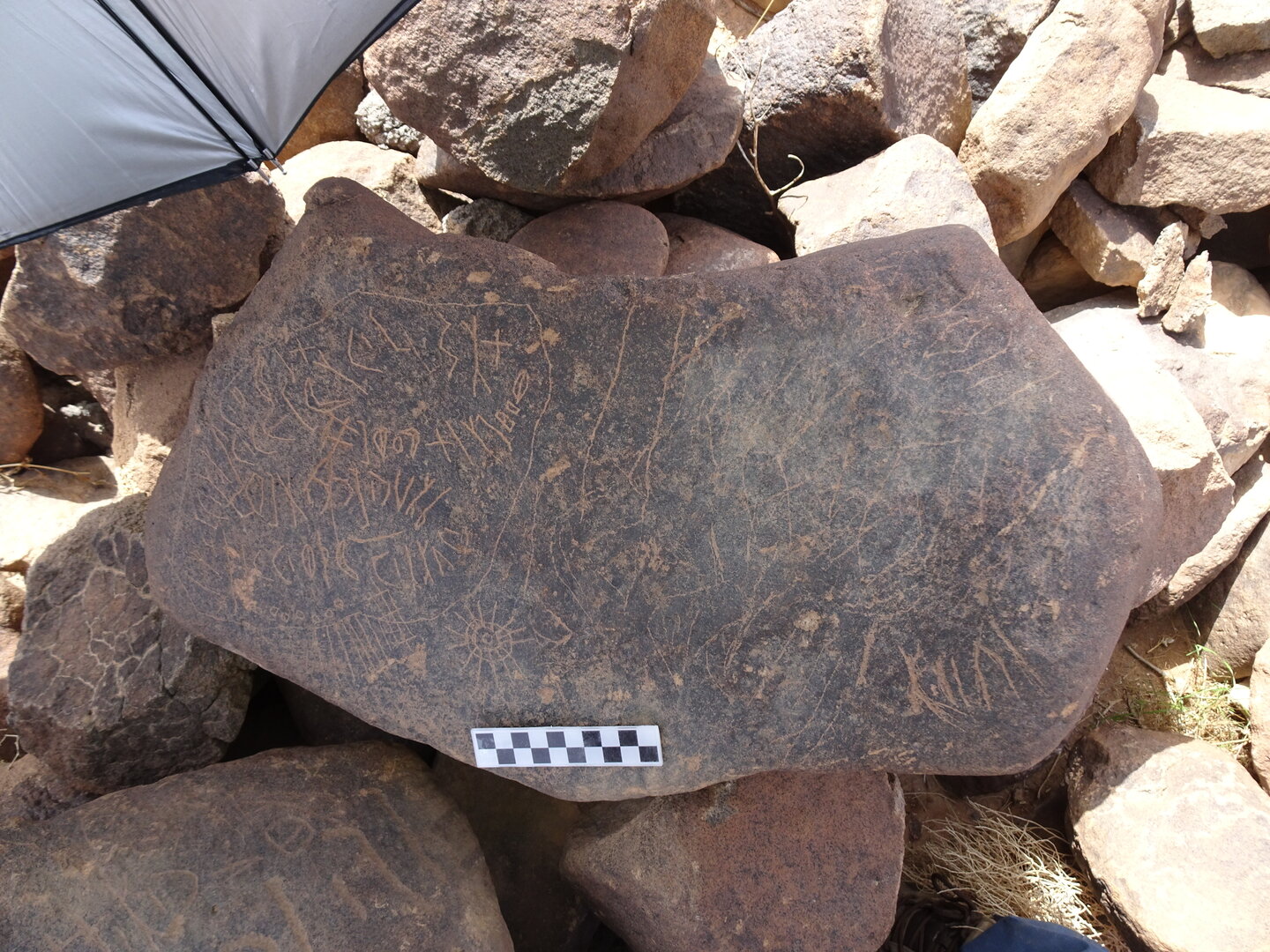 Image of siglum BES20 1815