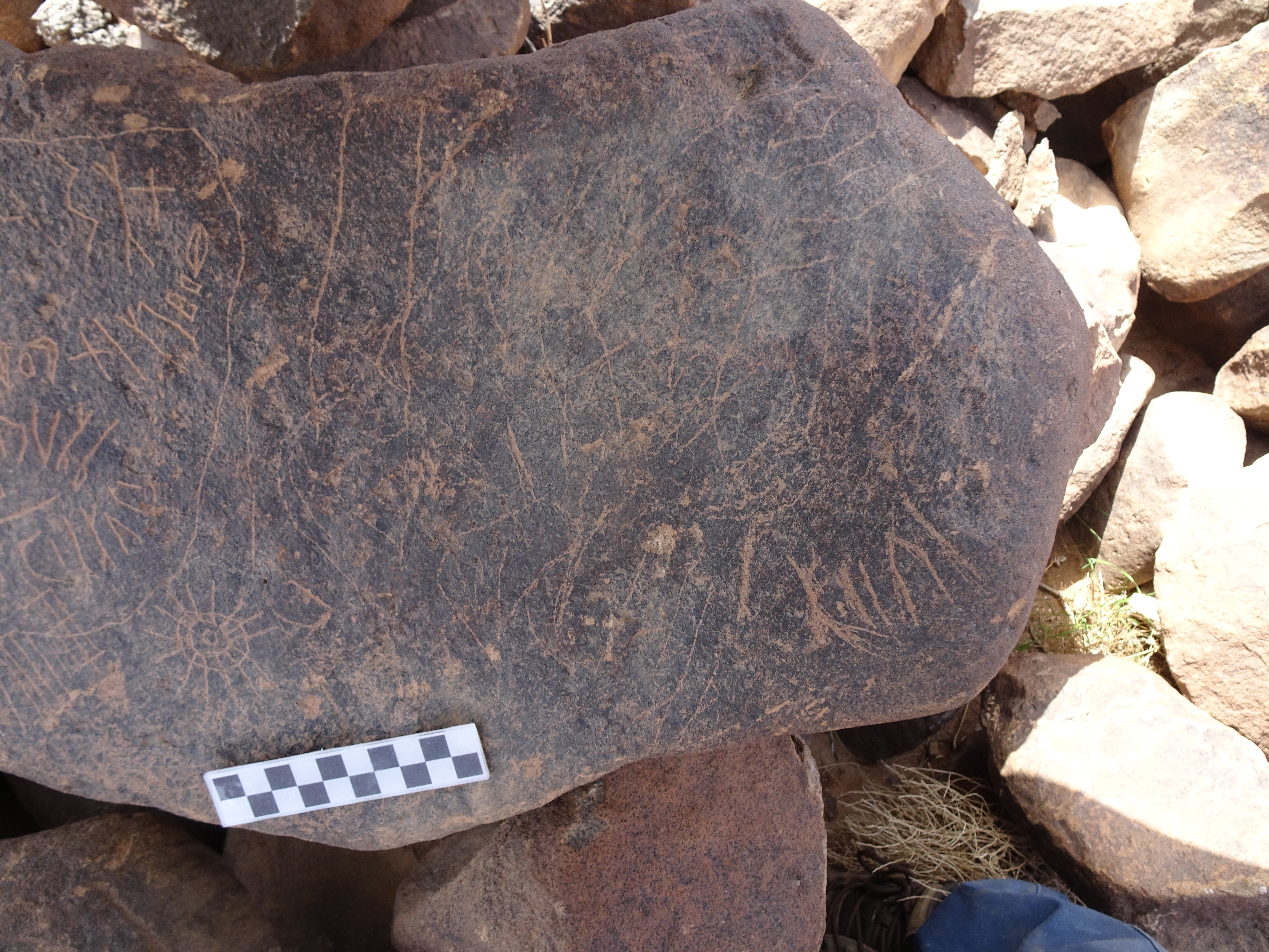 Image of siglum BES20 1817