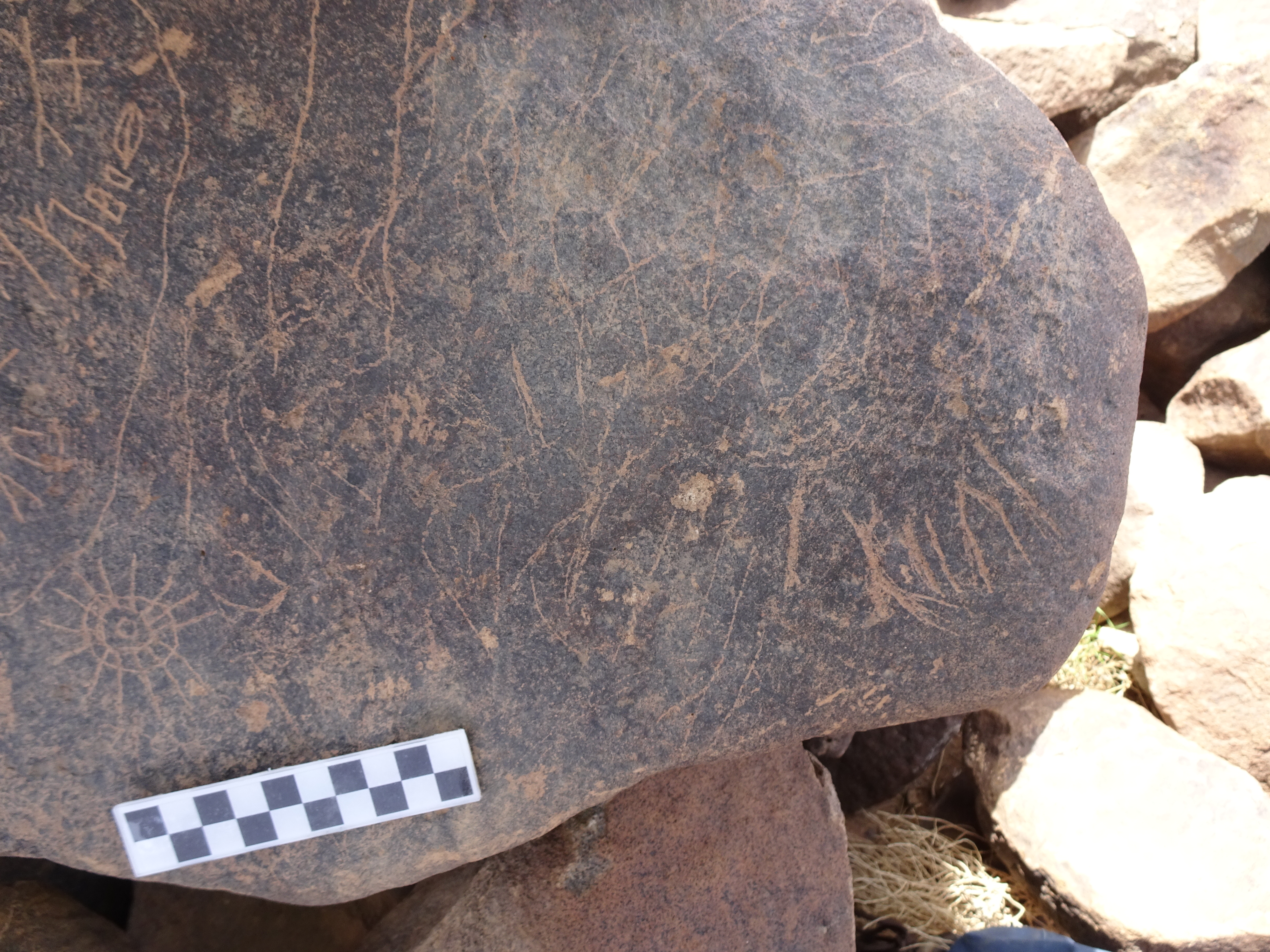 Image of siglum BES20 1817