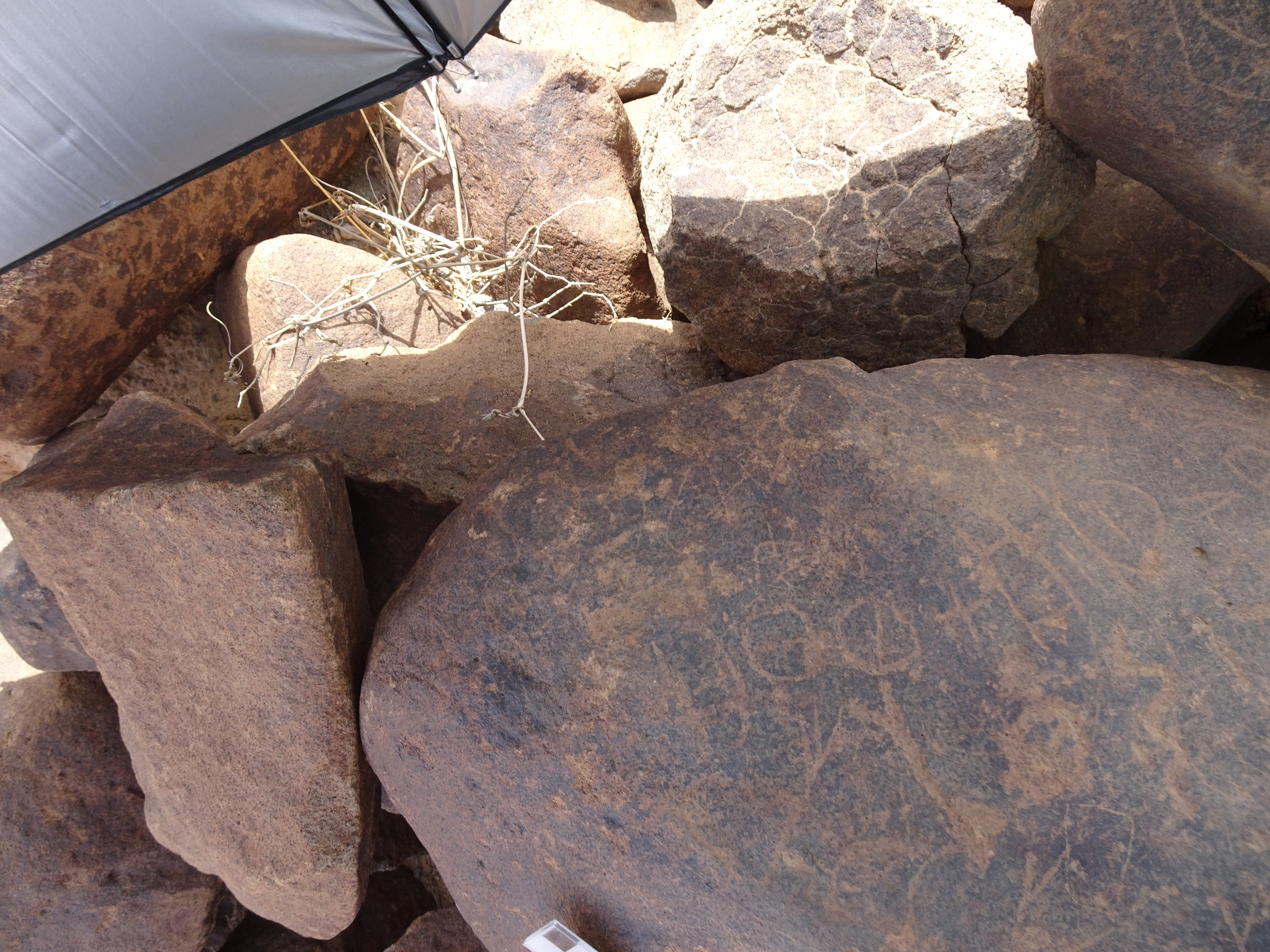 Image of siglum BES20 1819