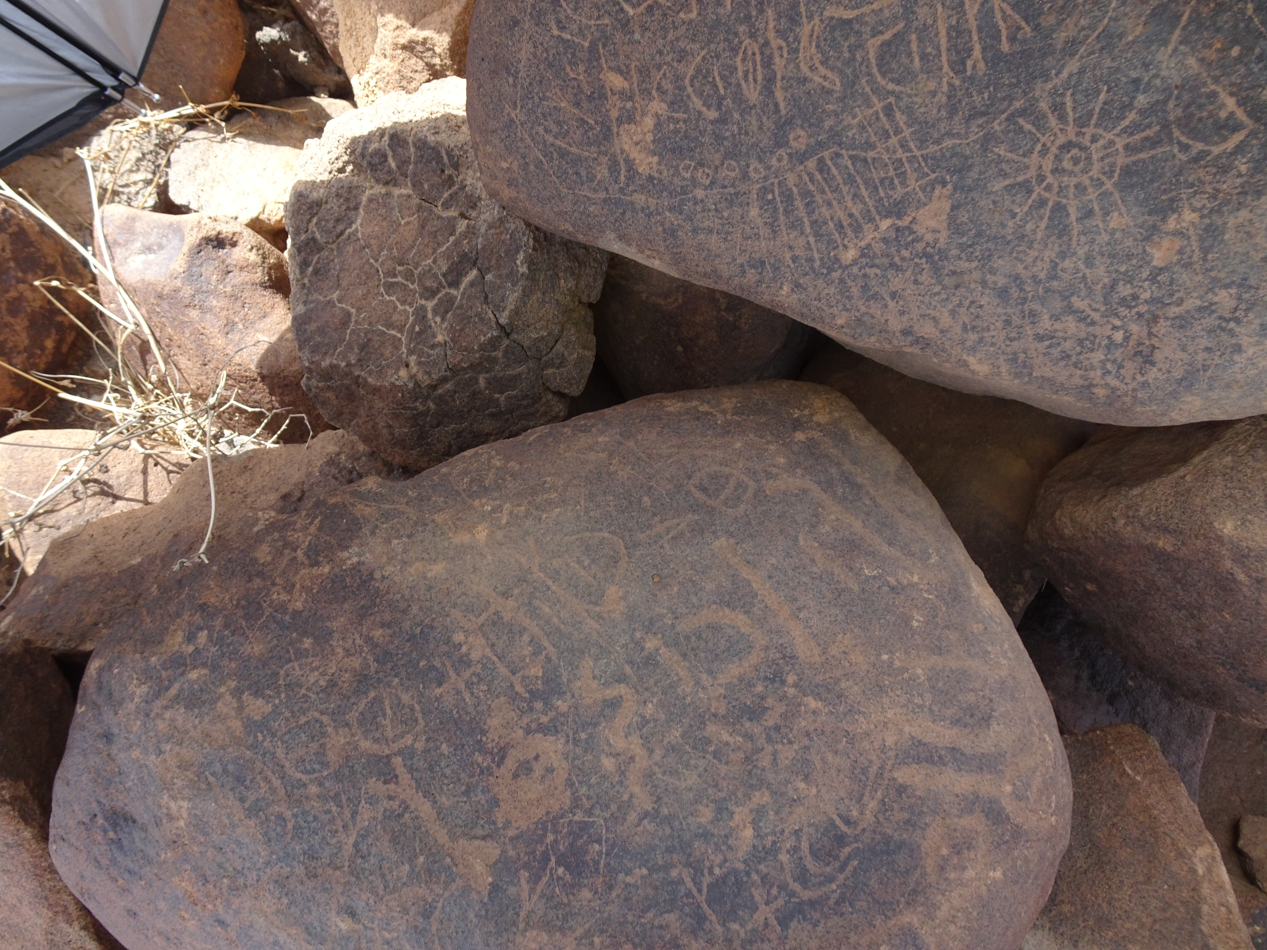 Image of siglum BES20 1820