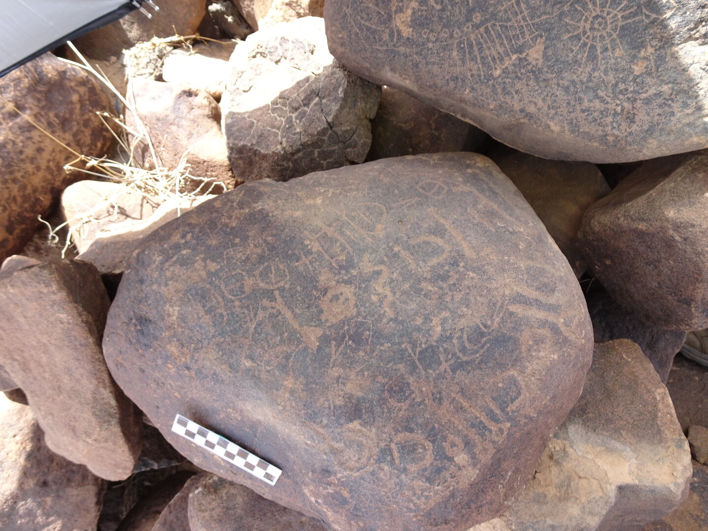 Image of siglum BES20 1820