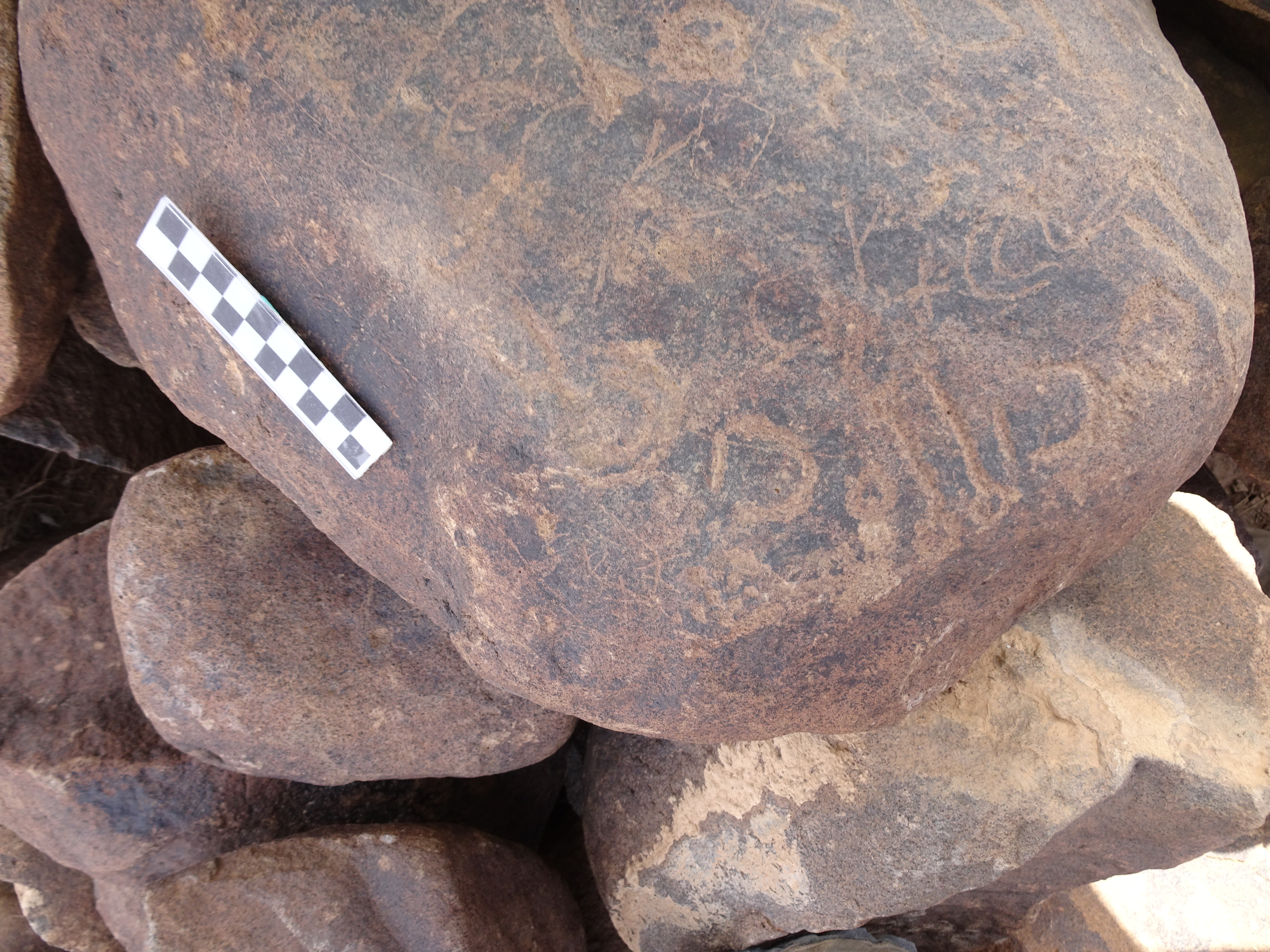 Image of siglum BES20 1821