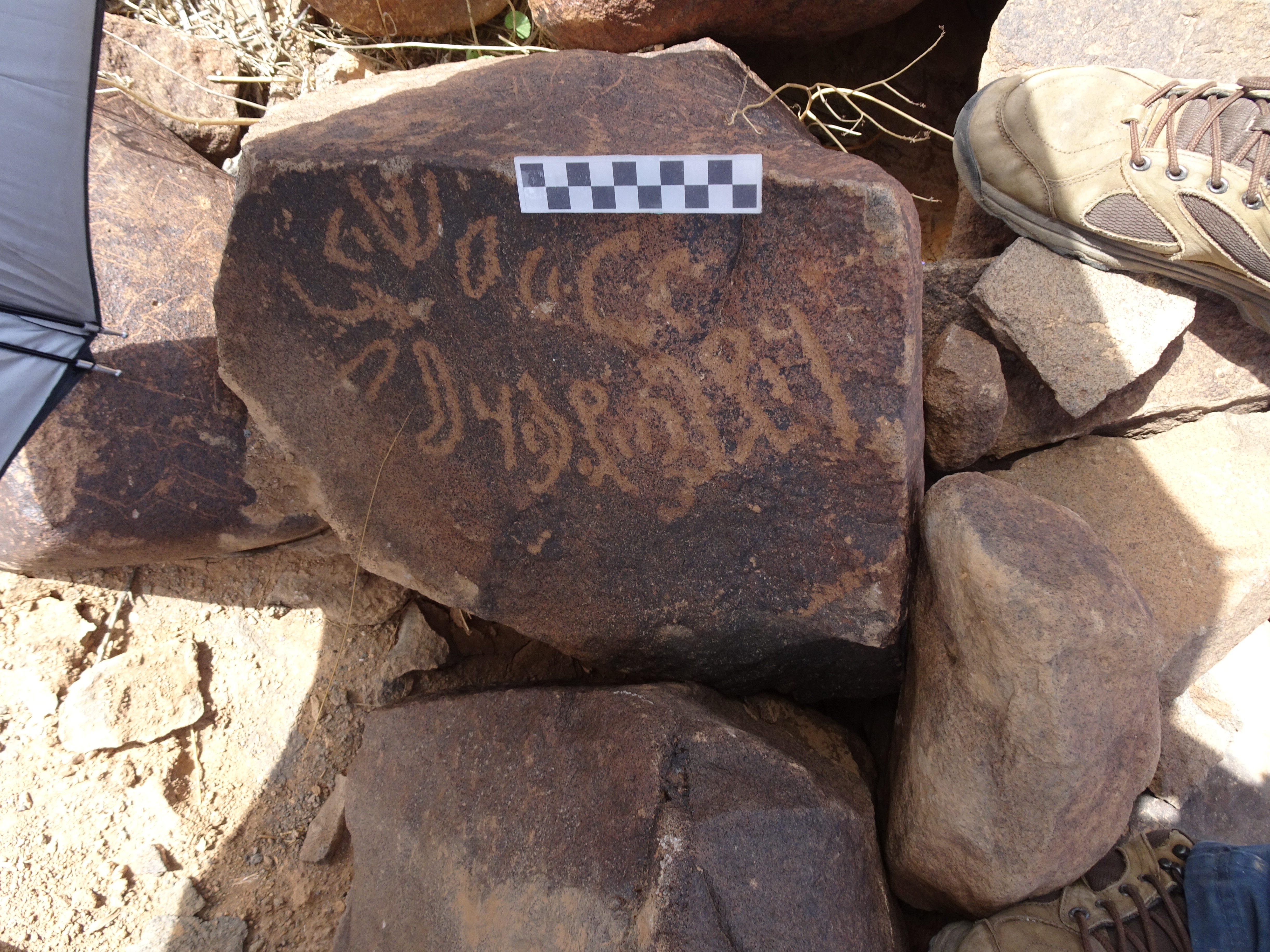 Image of siglum BES20 1822