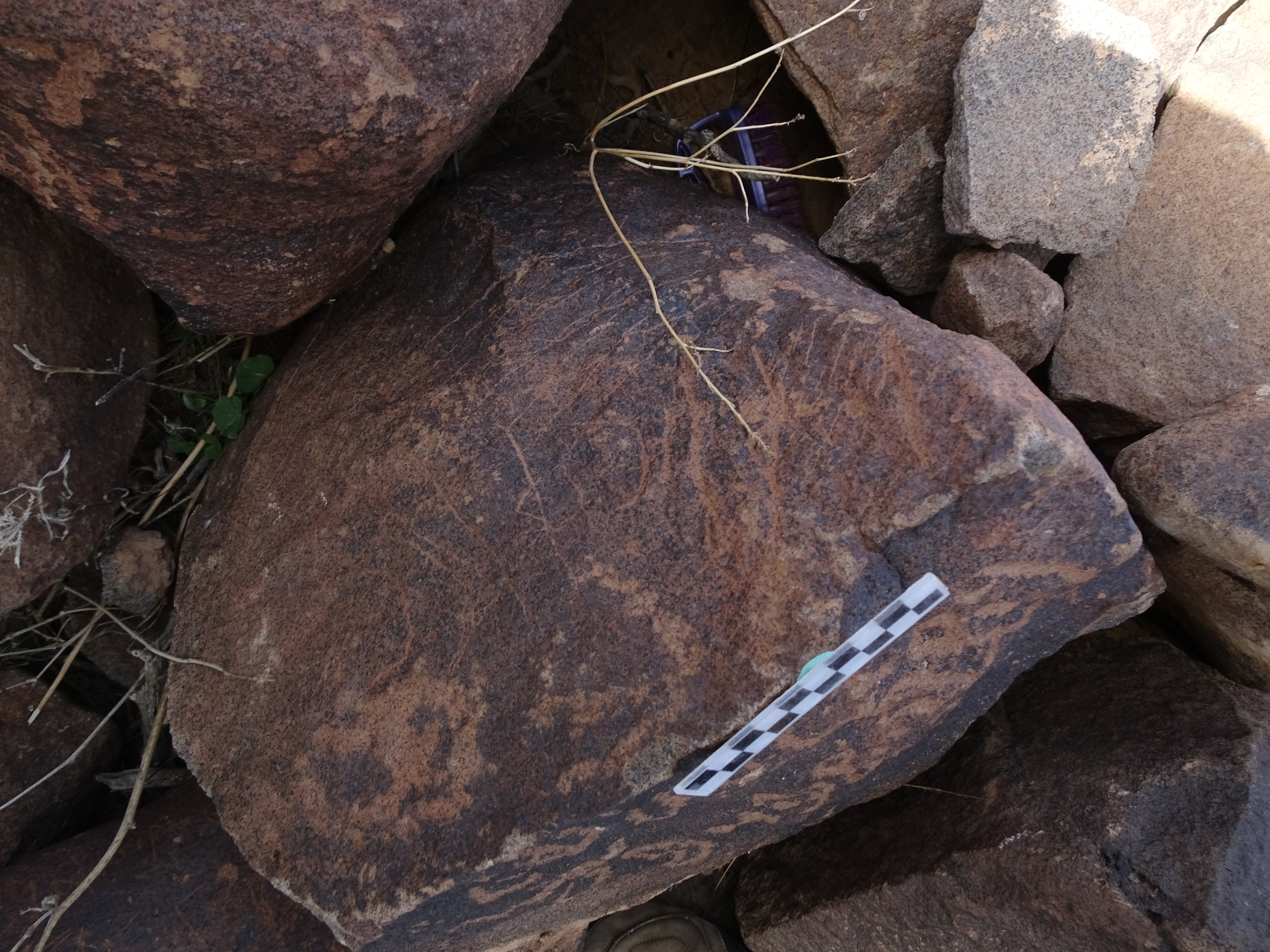 Image of siglum BES20 1823