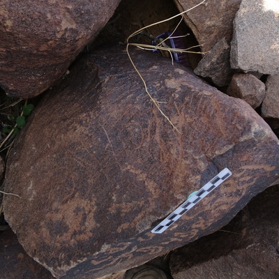 Image of siglum BES20 1823