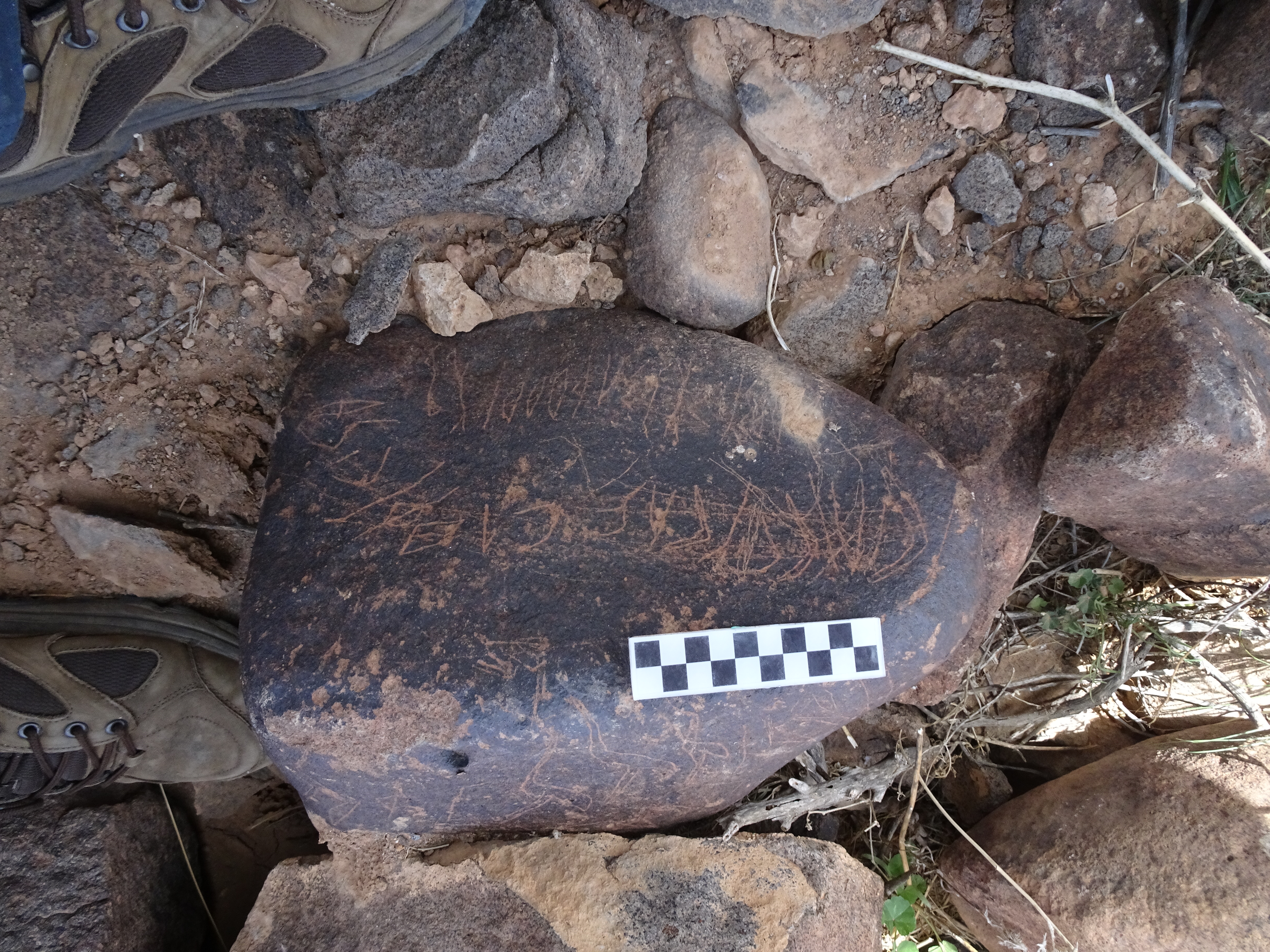 Image of siglum BES20 1824