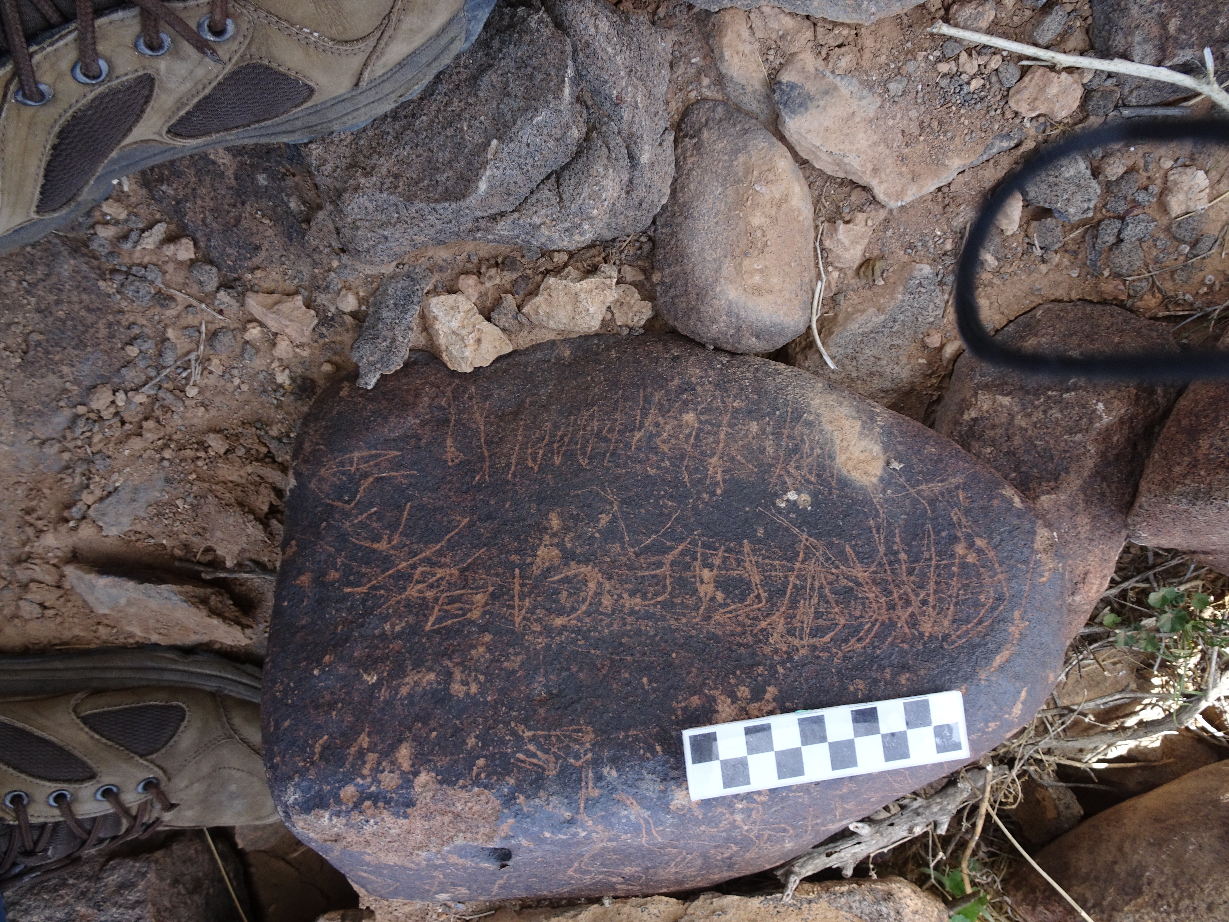 Image of siglum BES20 1824