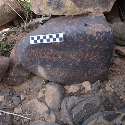 Image of siglum BES20 1824