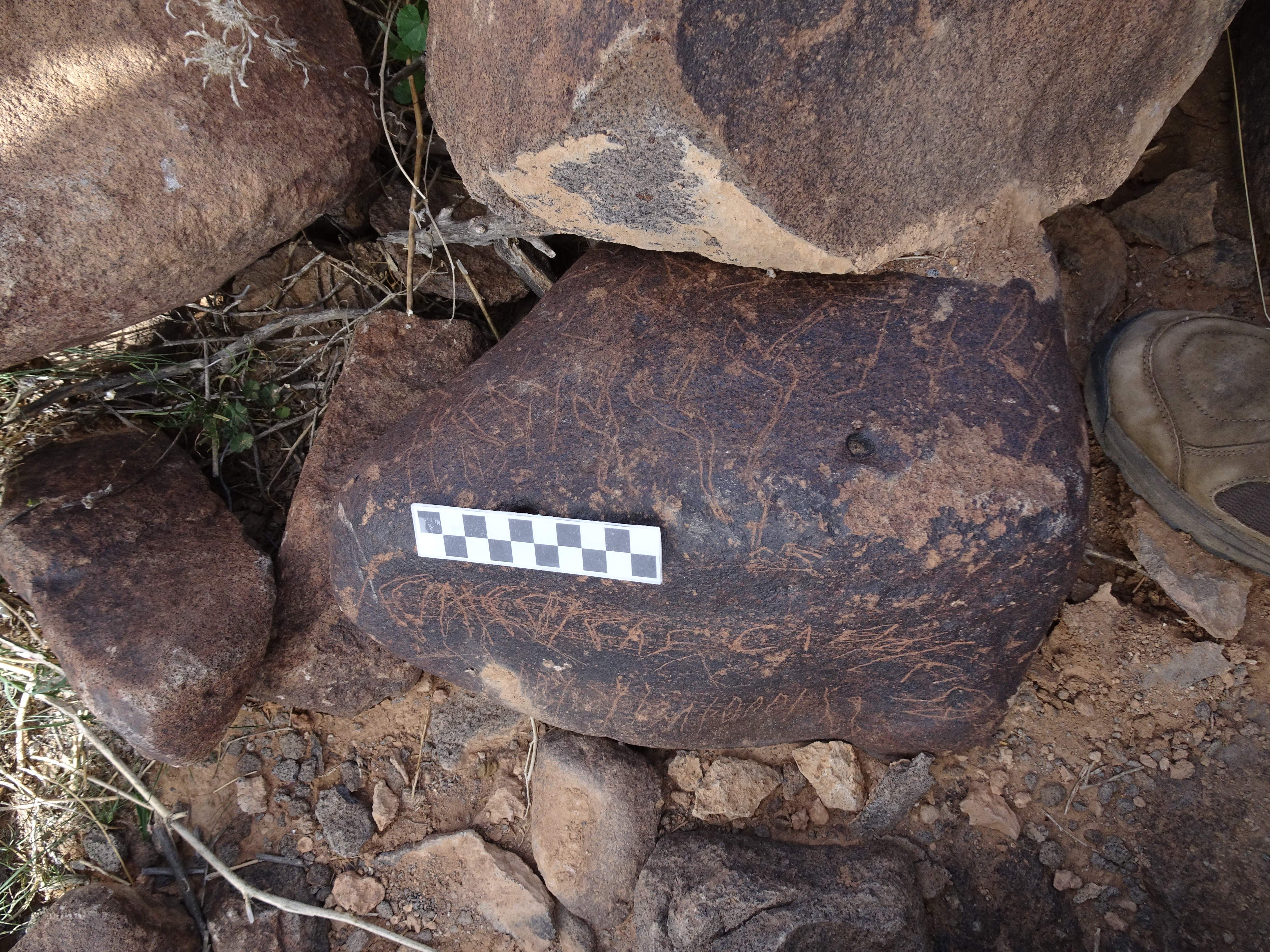 Image of siglum BES20 1825