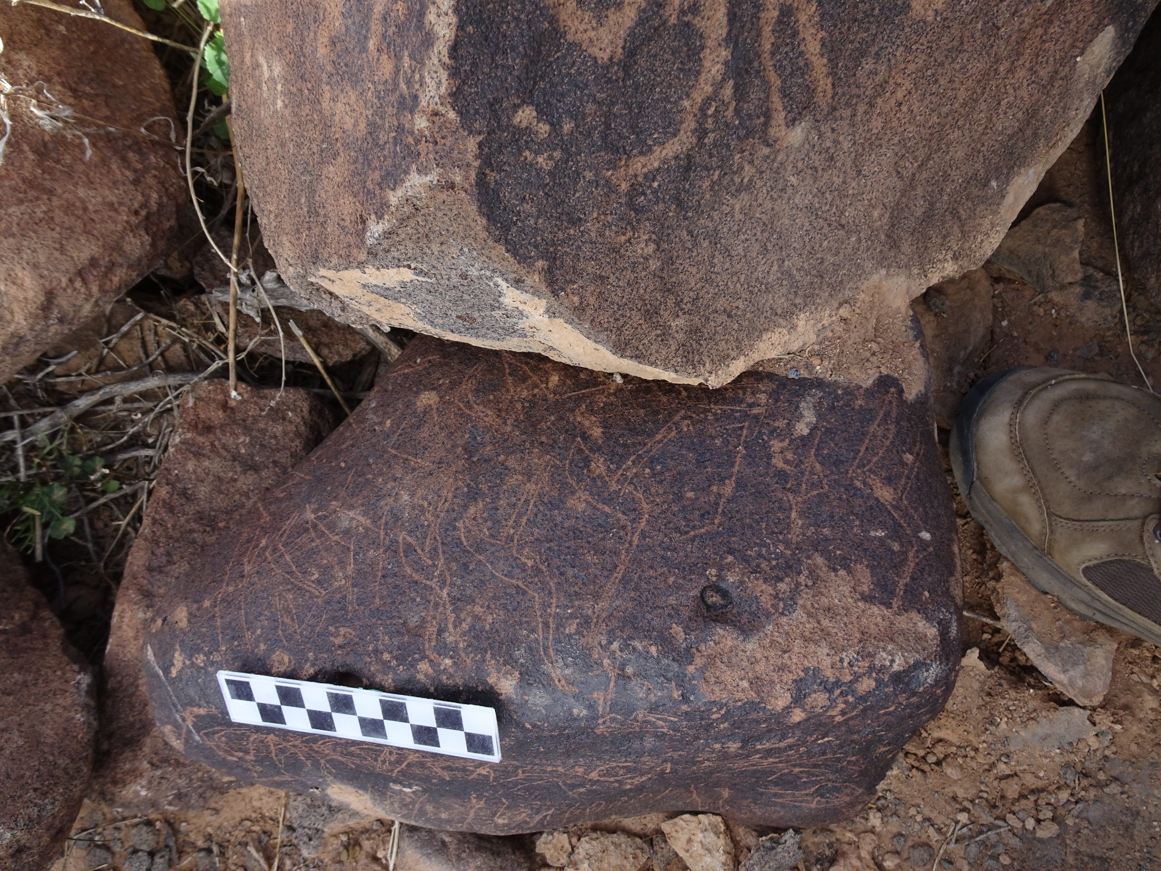 Image of siglum BES20 1825