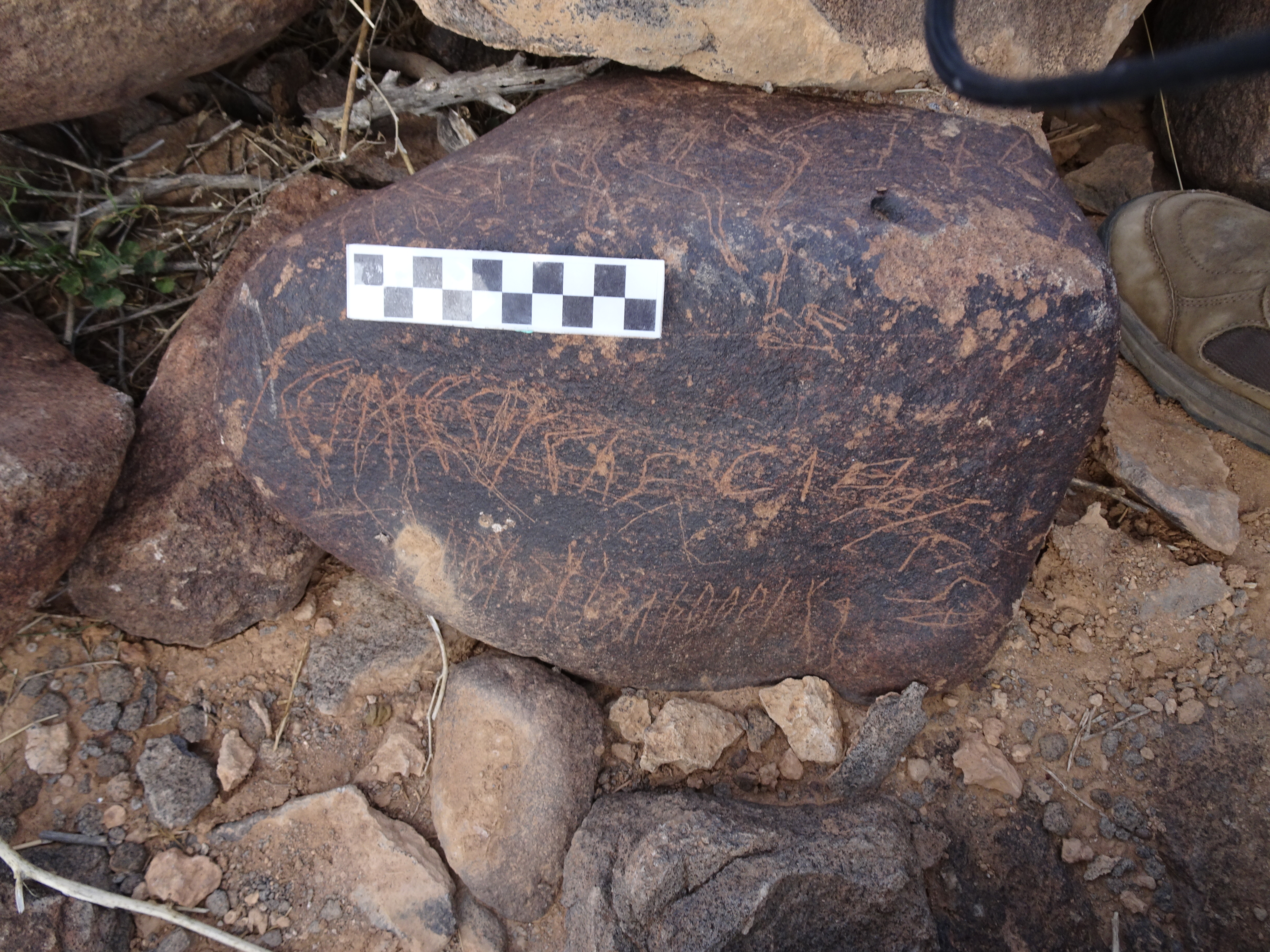 Image of siglum BES20 1825