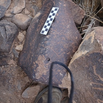 Image of siglum BES20 1825