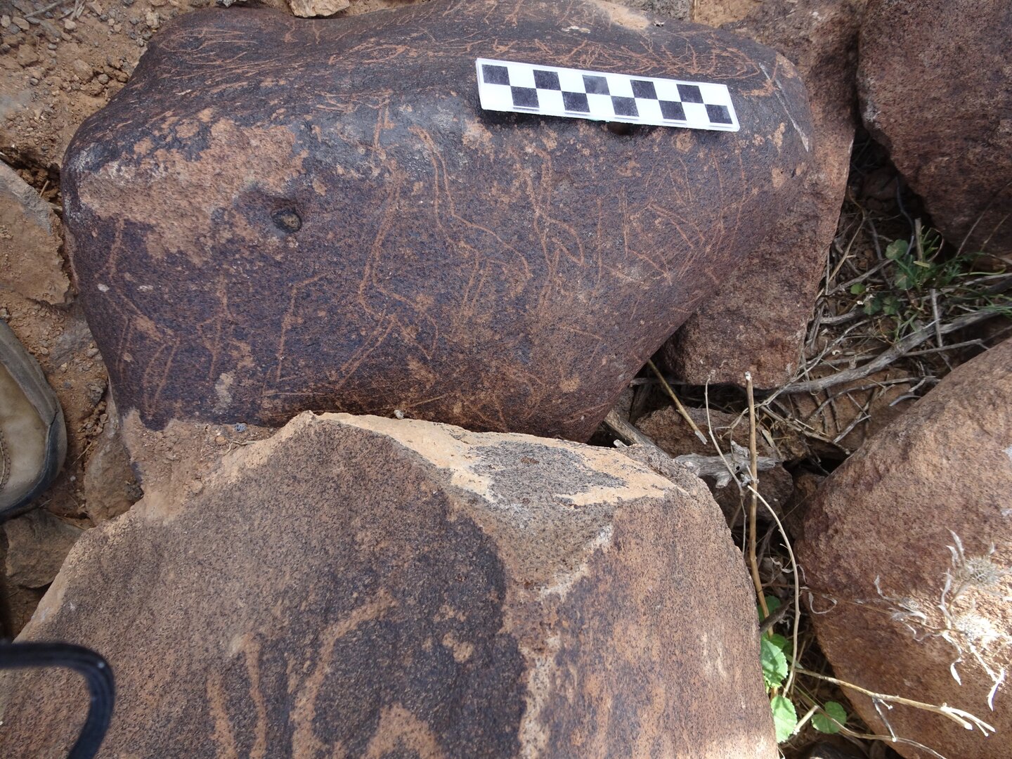 Image of siglum BES20 1825