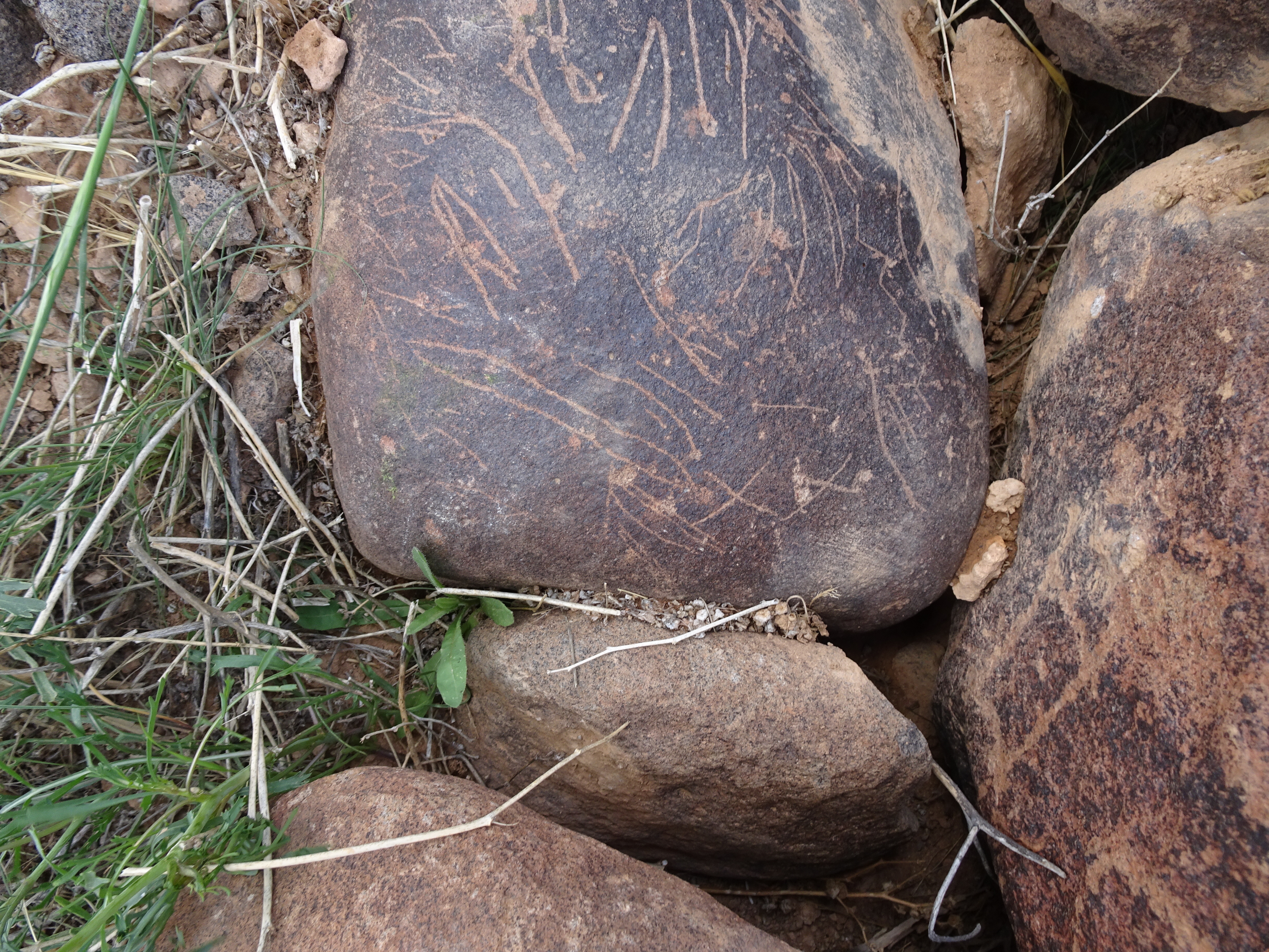 Image of siglum BES20 1827