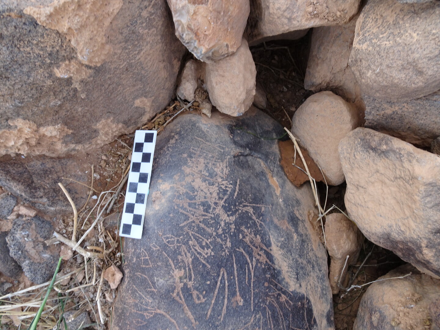 Image of siglum BES20 1828