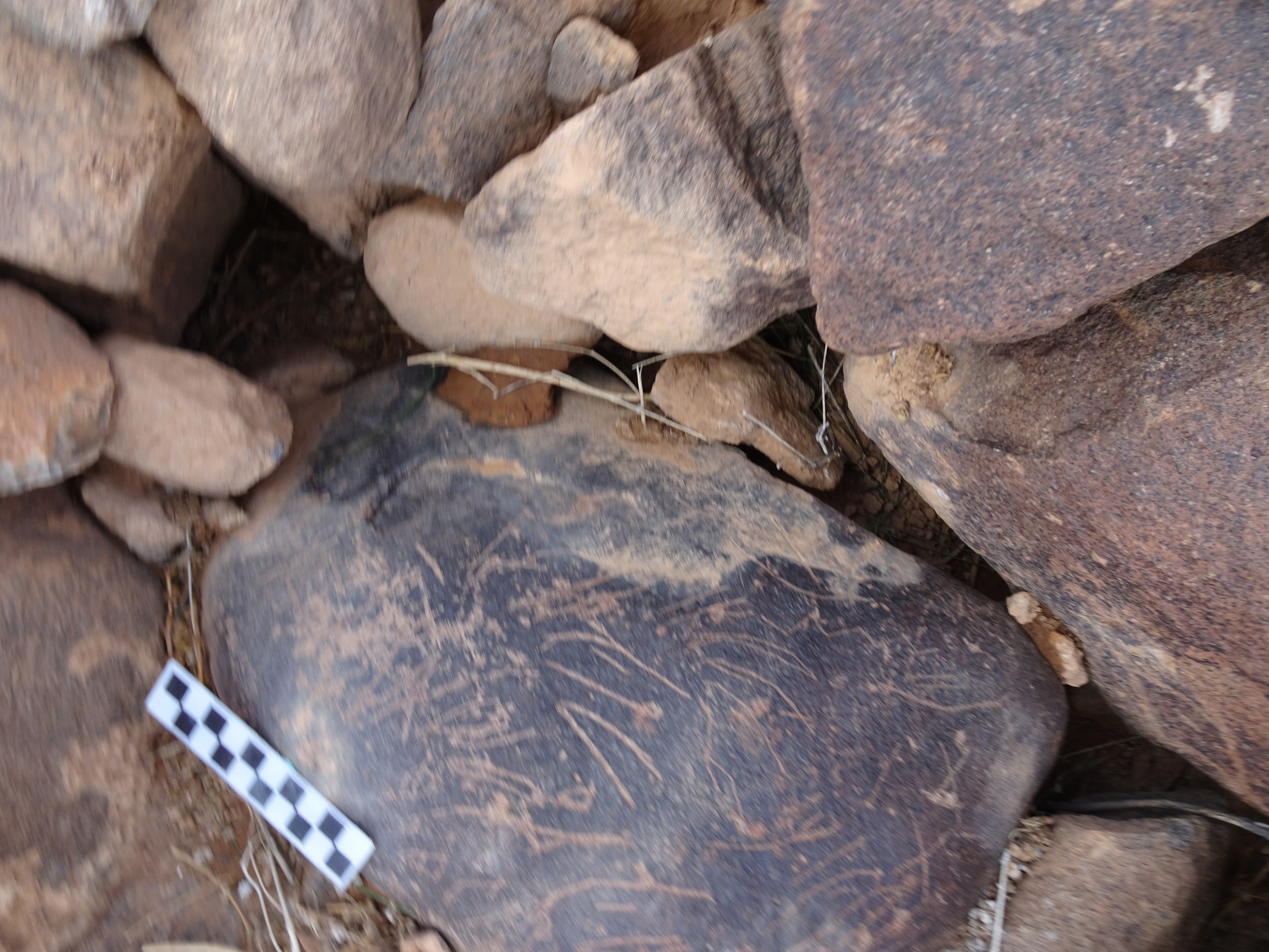 Image of siglum BES20 1829