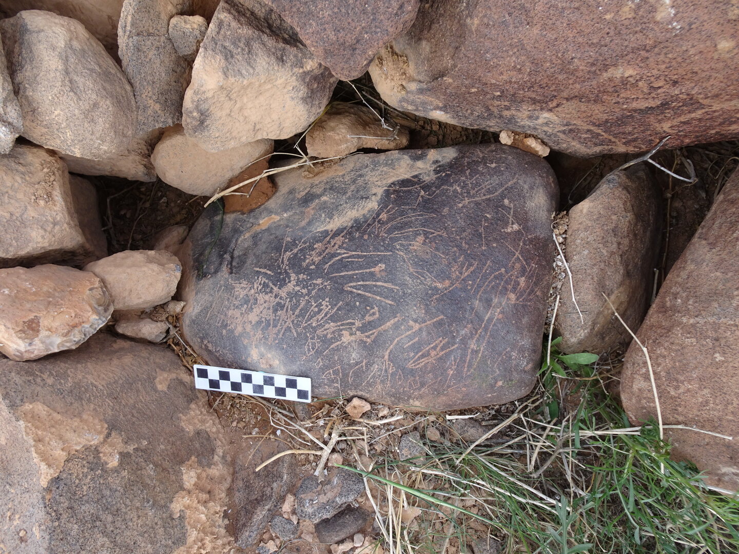 Image of siglum BES20 1829