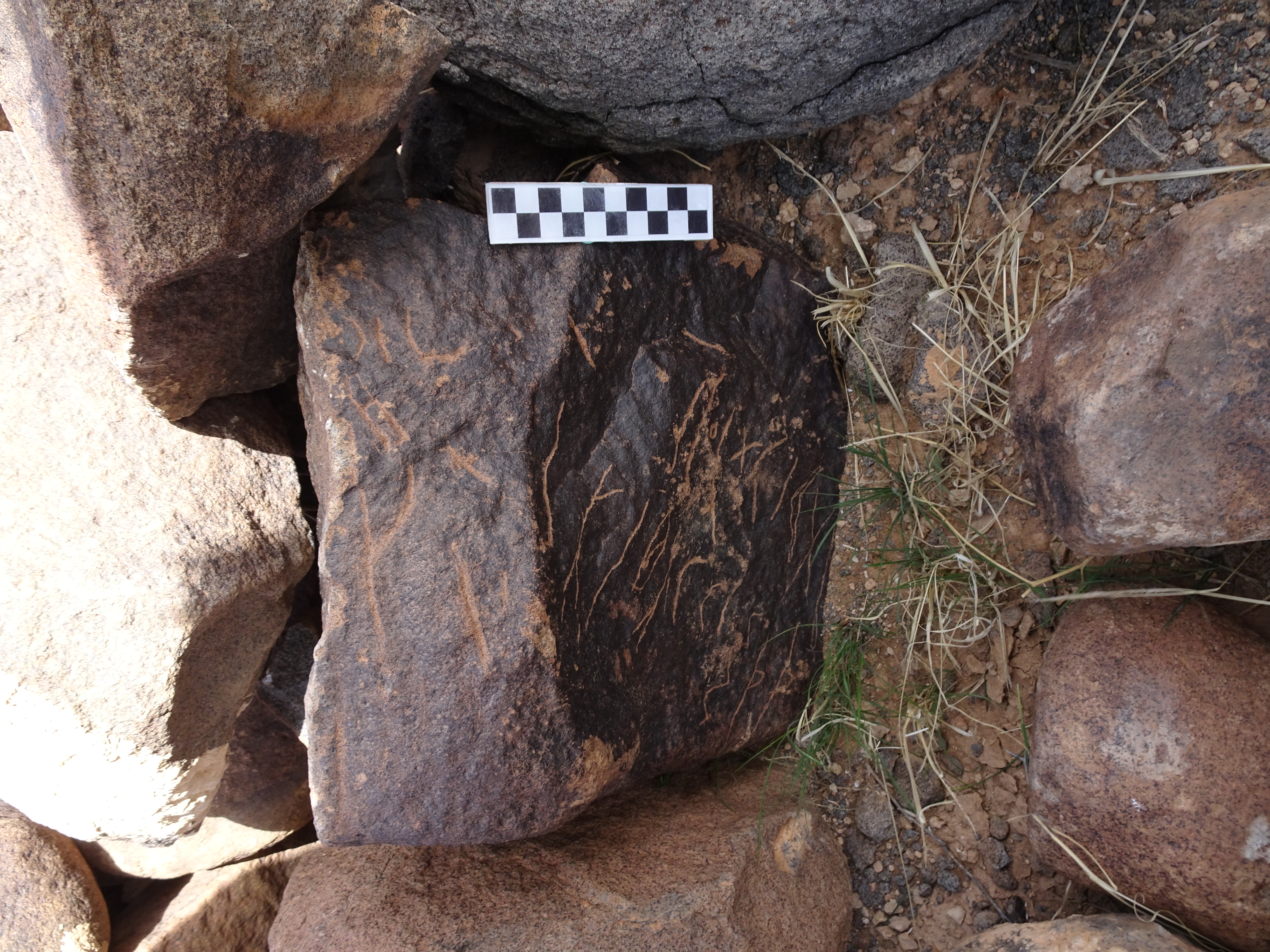 Image of siglum BES20 1830