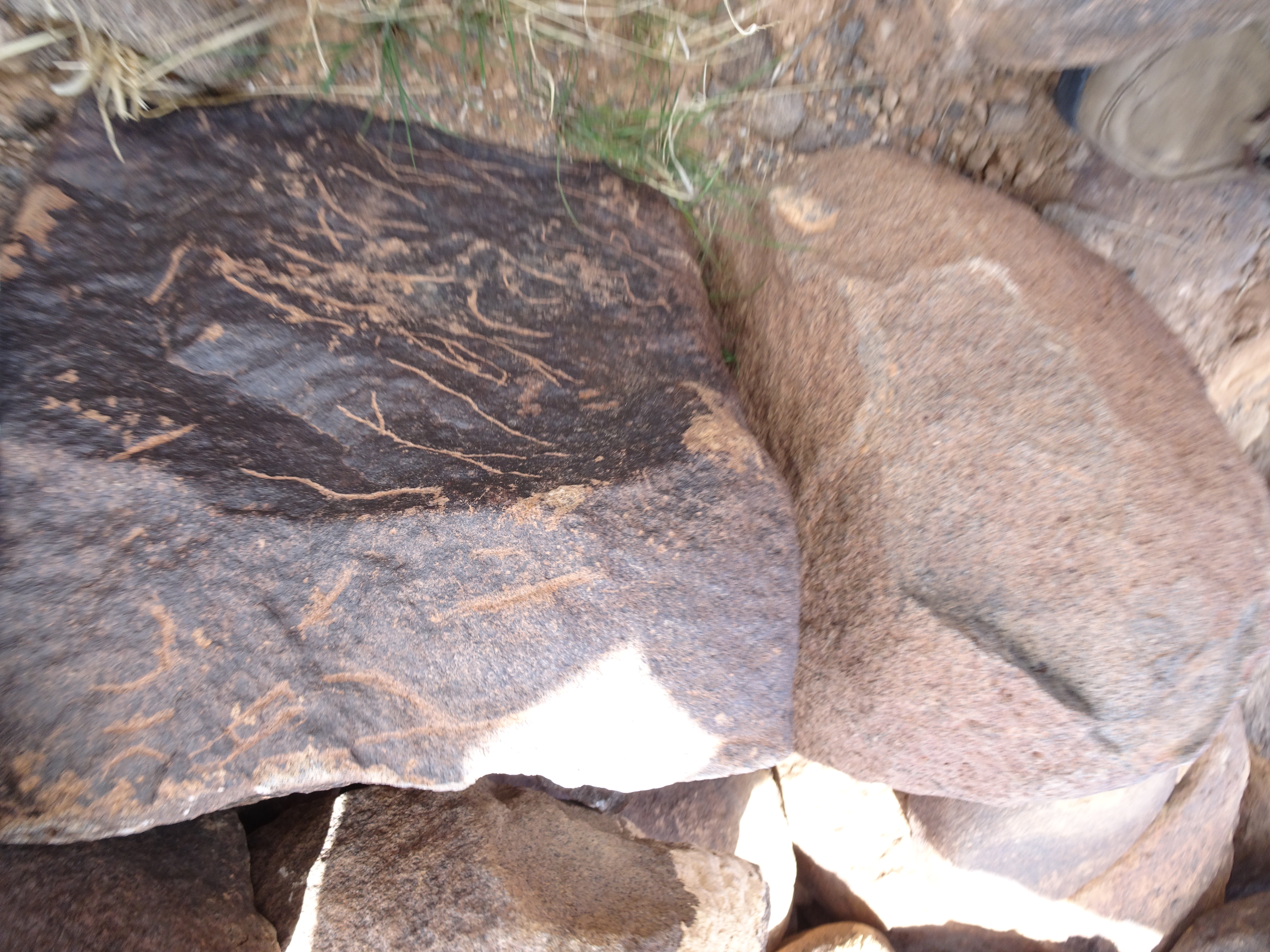 Image of siglum BES20 1830