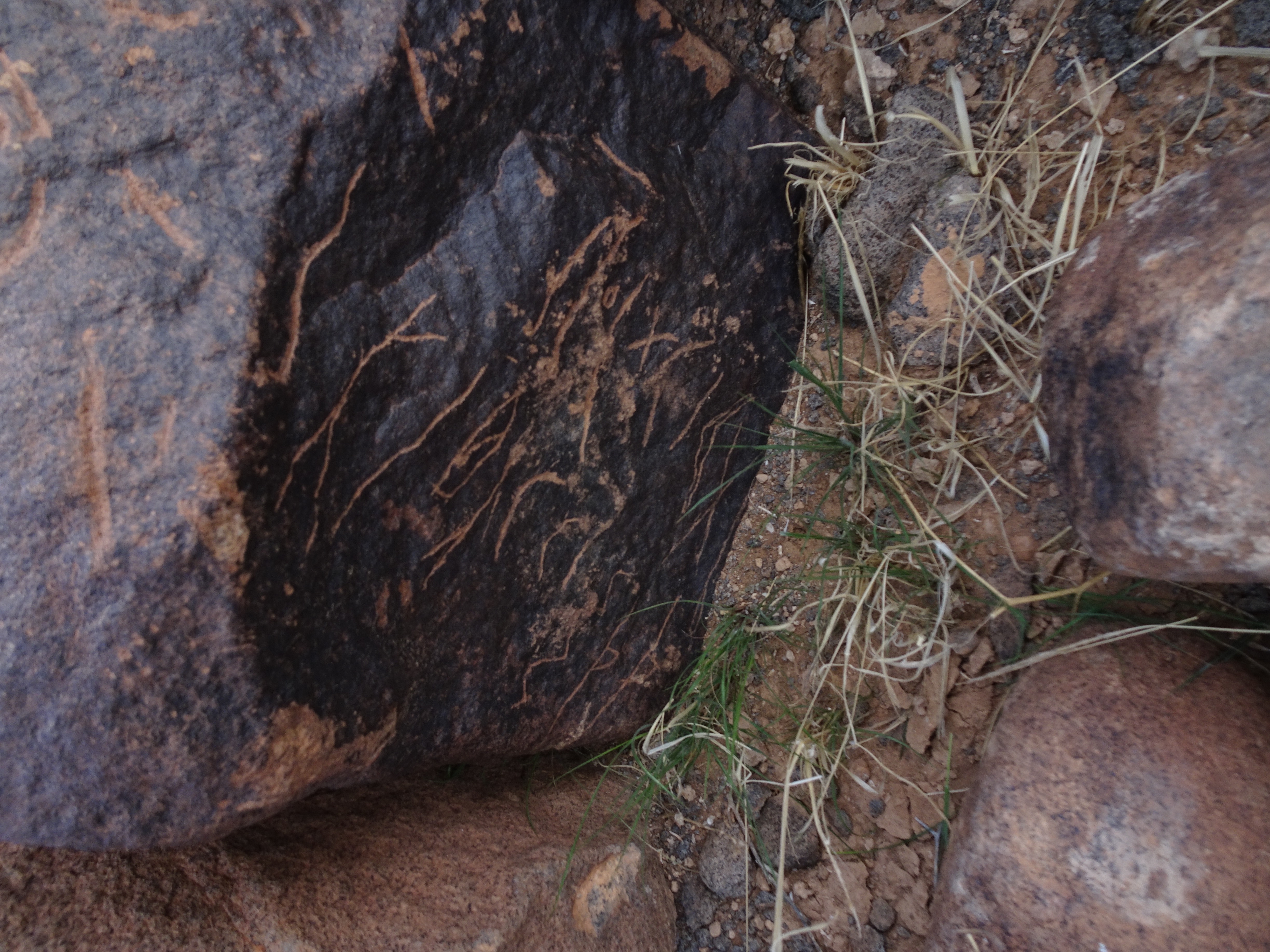 Image of siglum BES20 1830