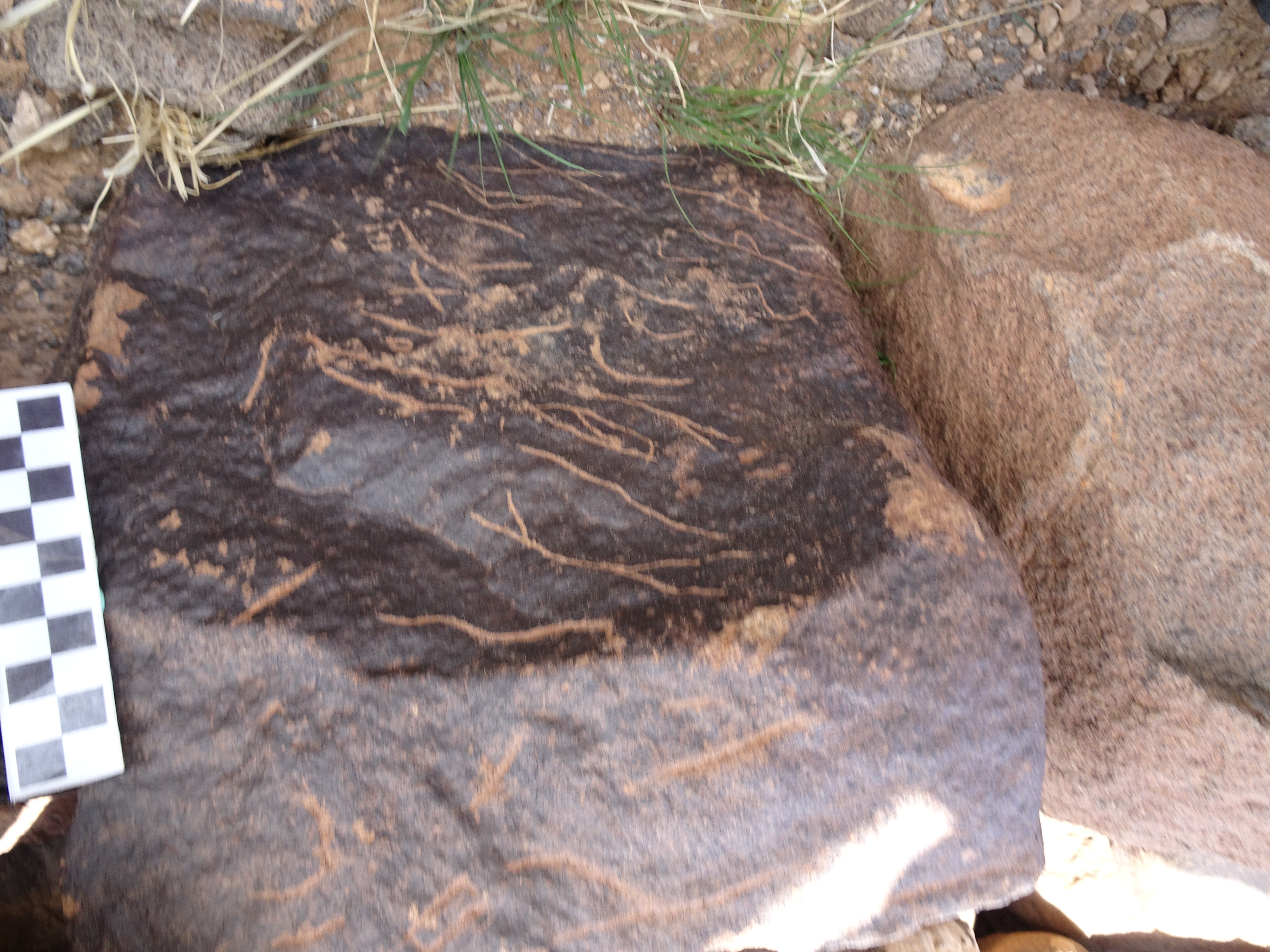 Image of siglum BES20 1831