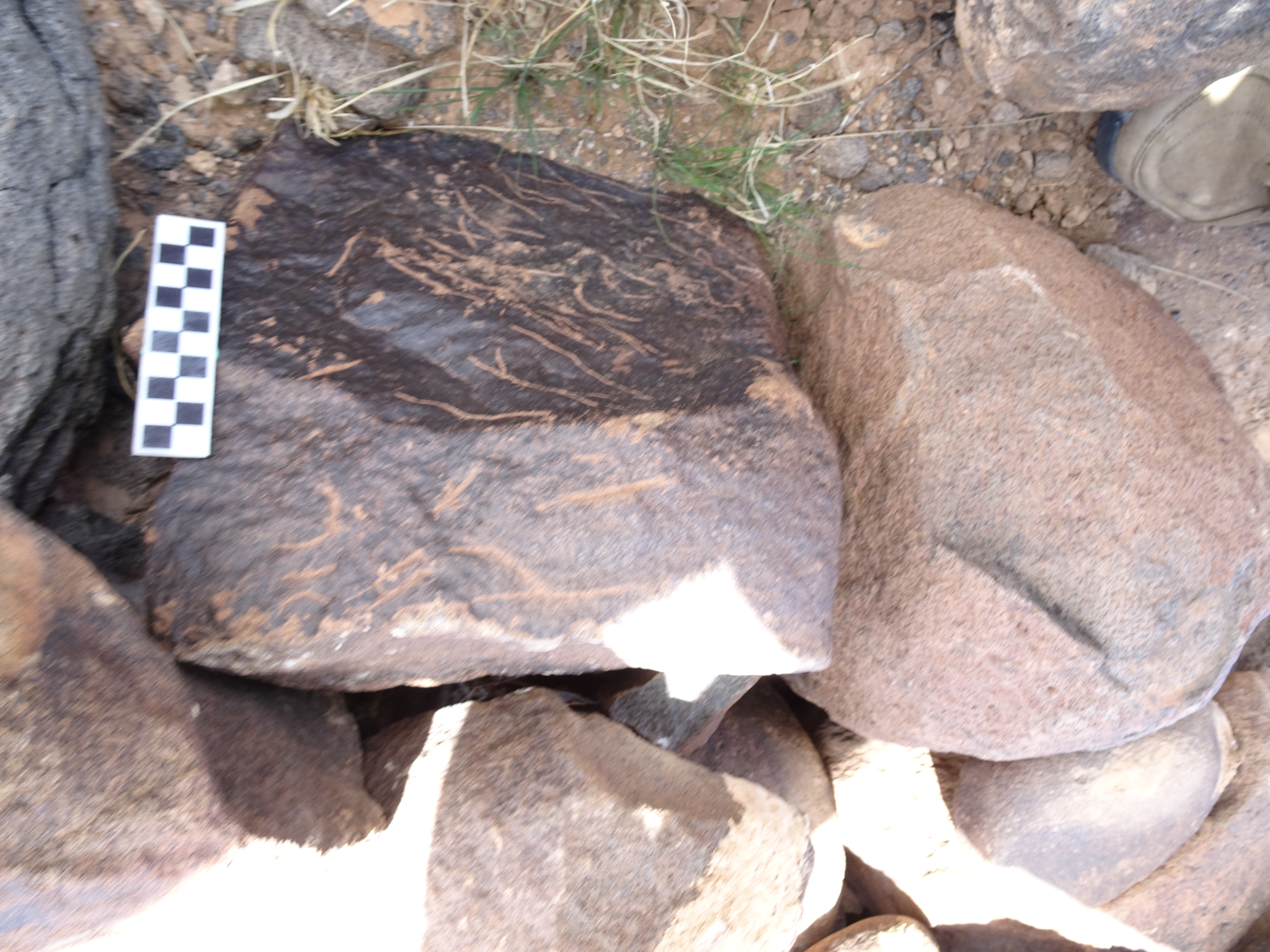 Image of siglum BES20 1831