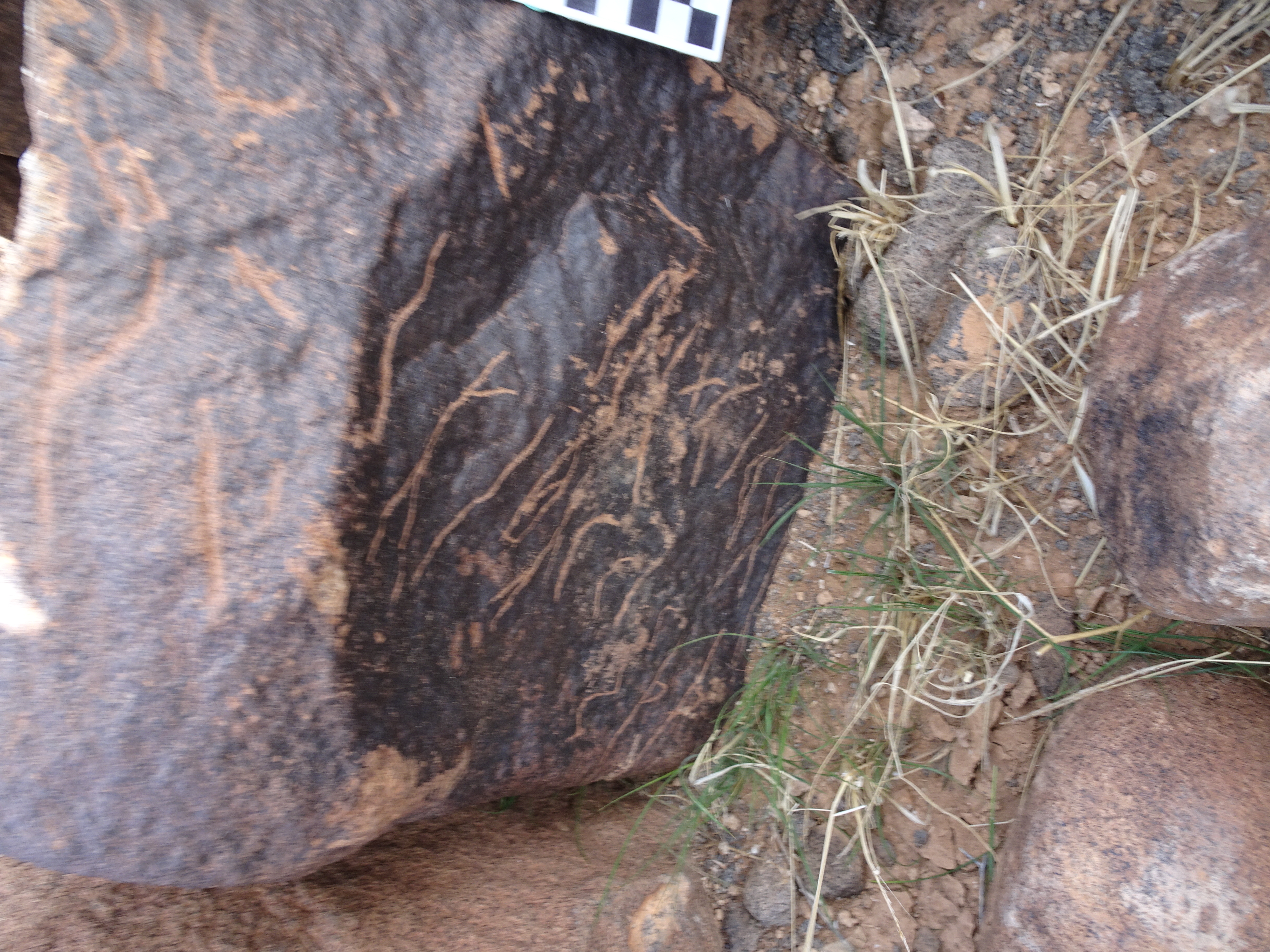 Image of siglum BES20 1831