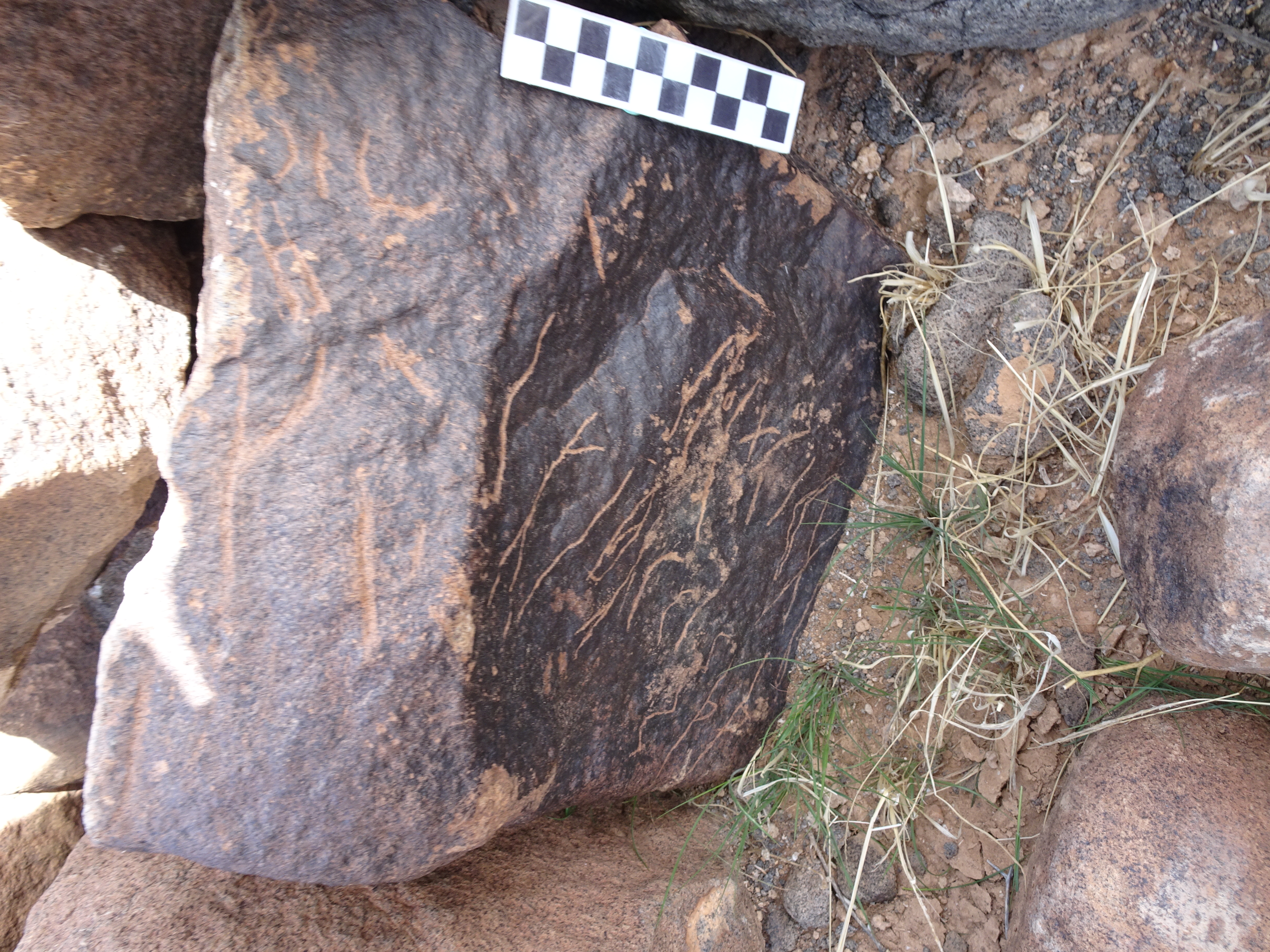 Image of siglum BES20 1831