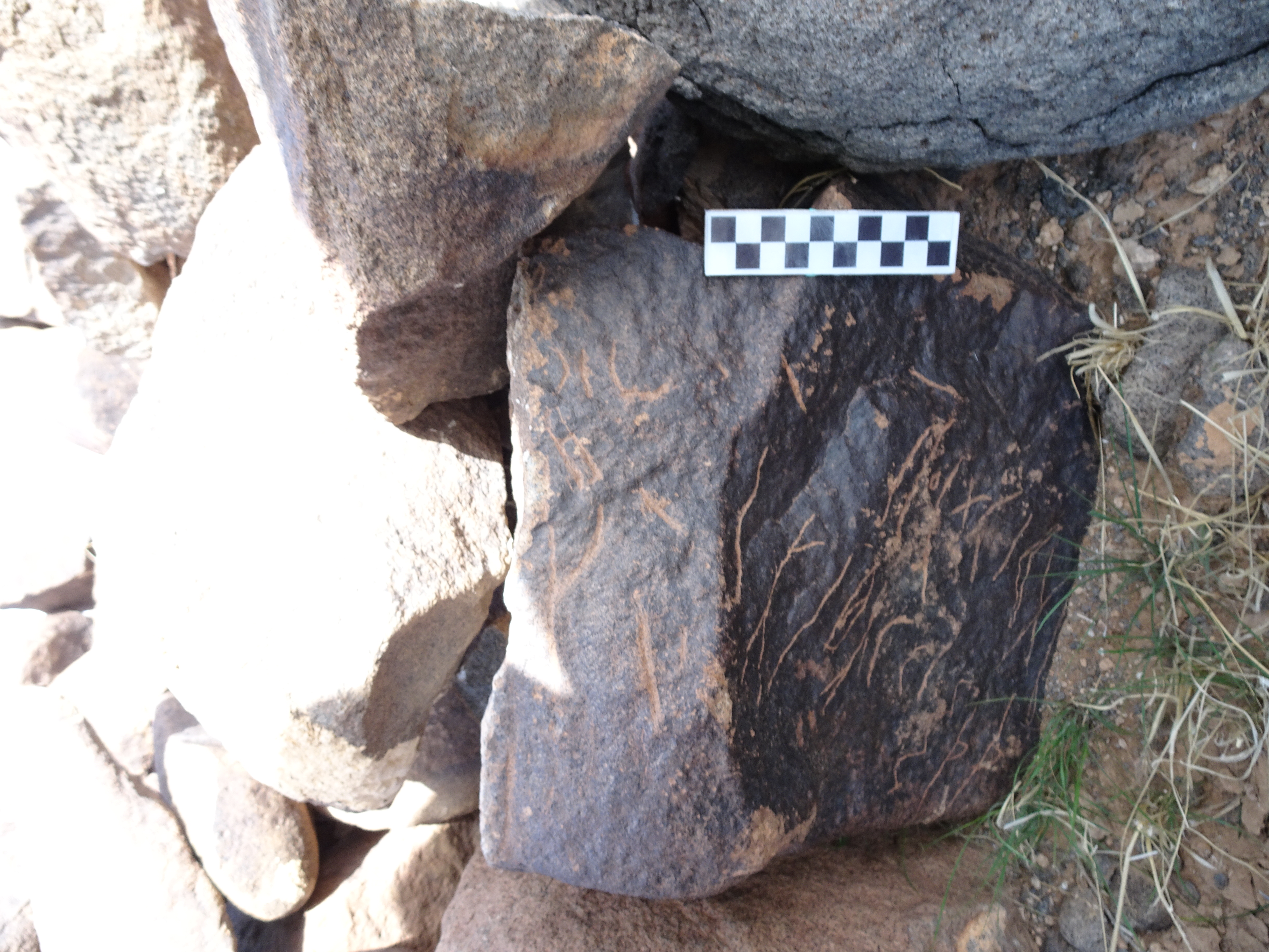 Image of siglum BES20 1831