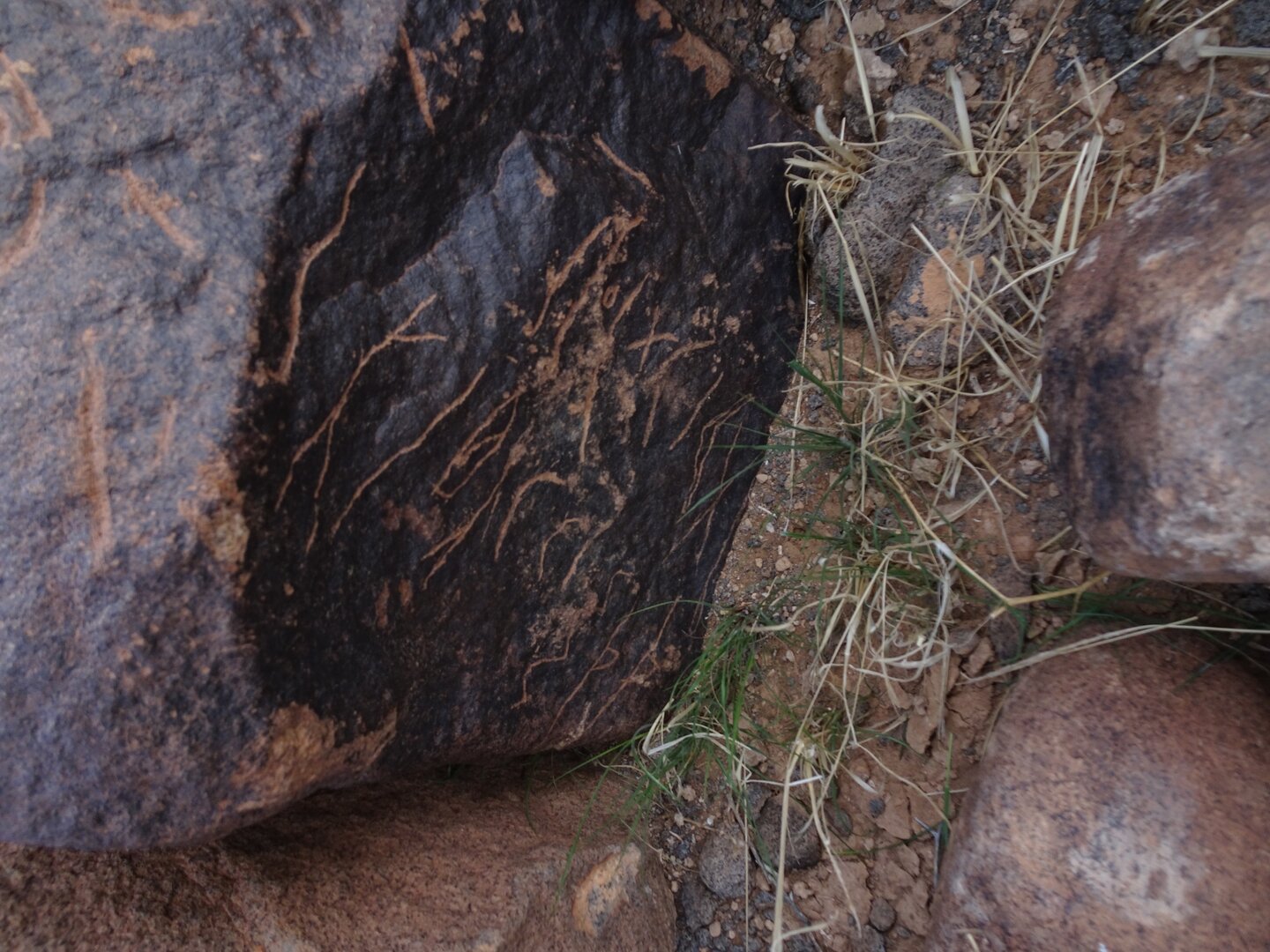 Image of siglum BES20 1831