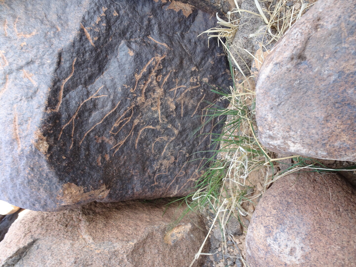 Image of siglum BES20 1831