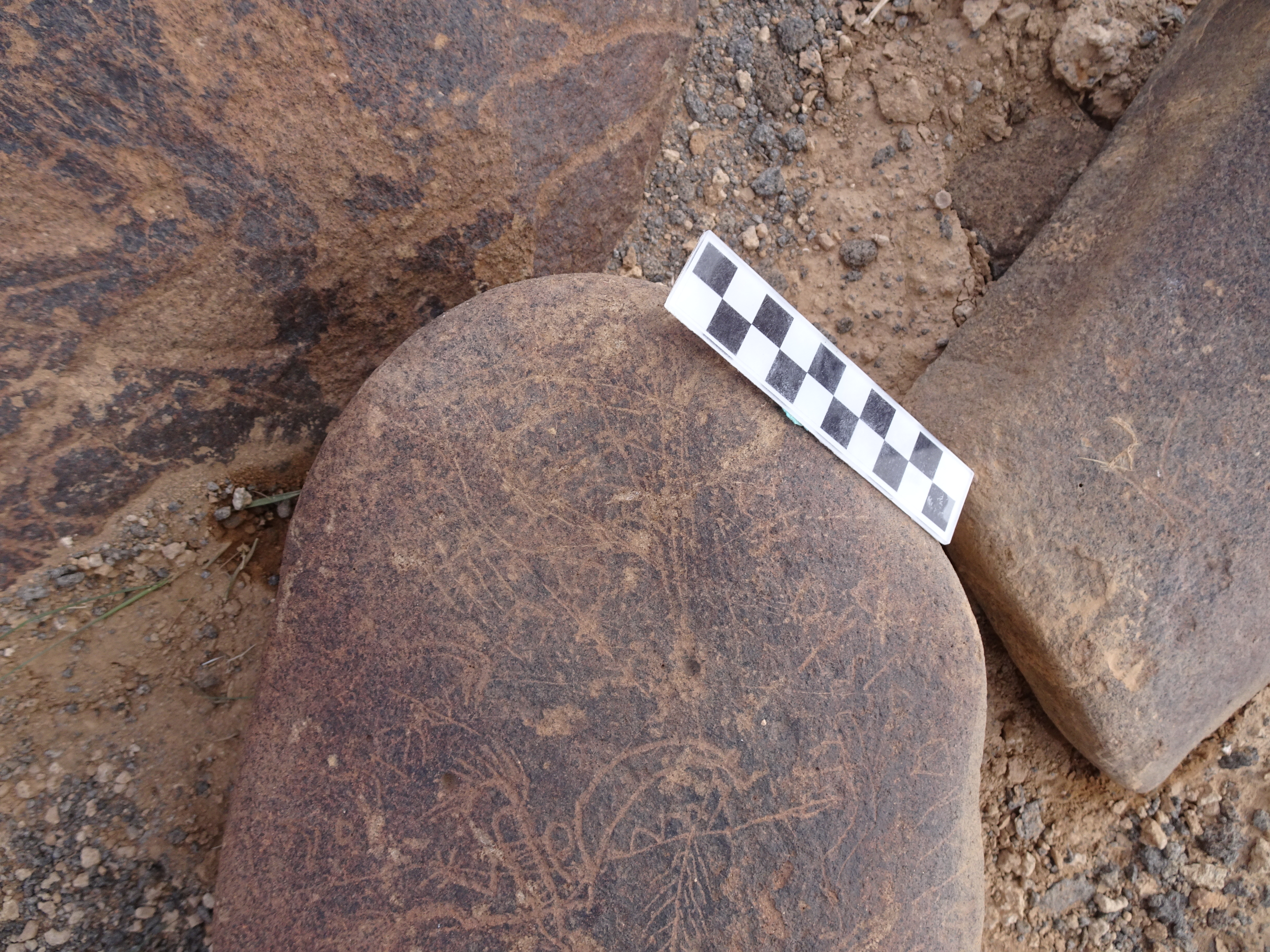 Image of siglum BES20 1834