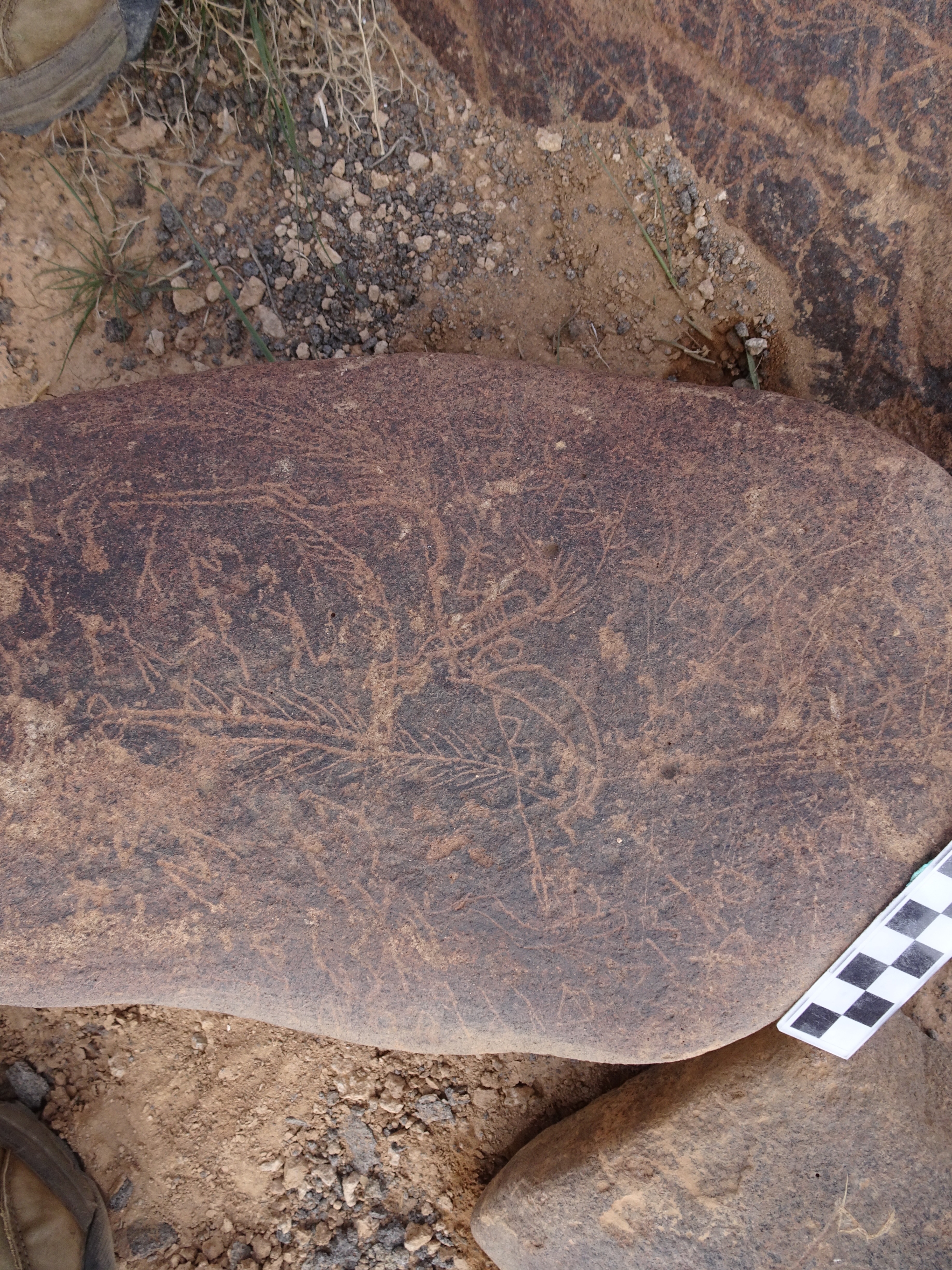 Image of siglum BES20 1834