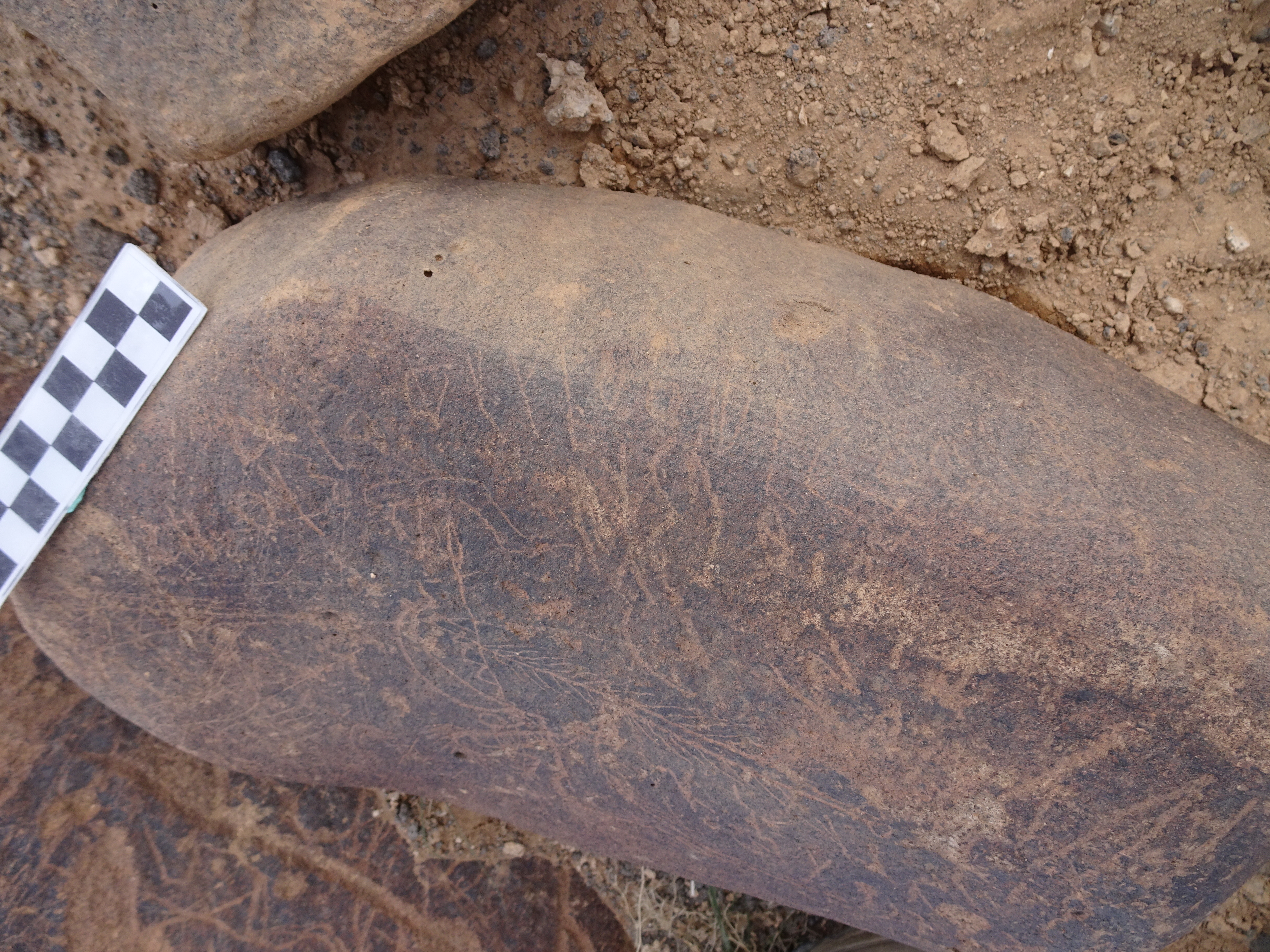 Image of siglum BES20 1835