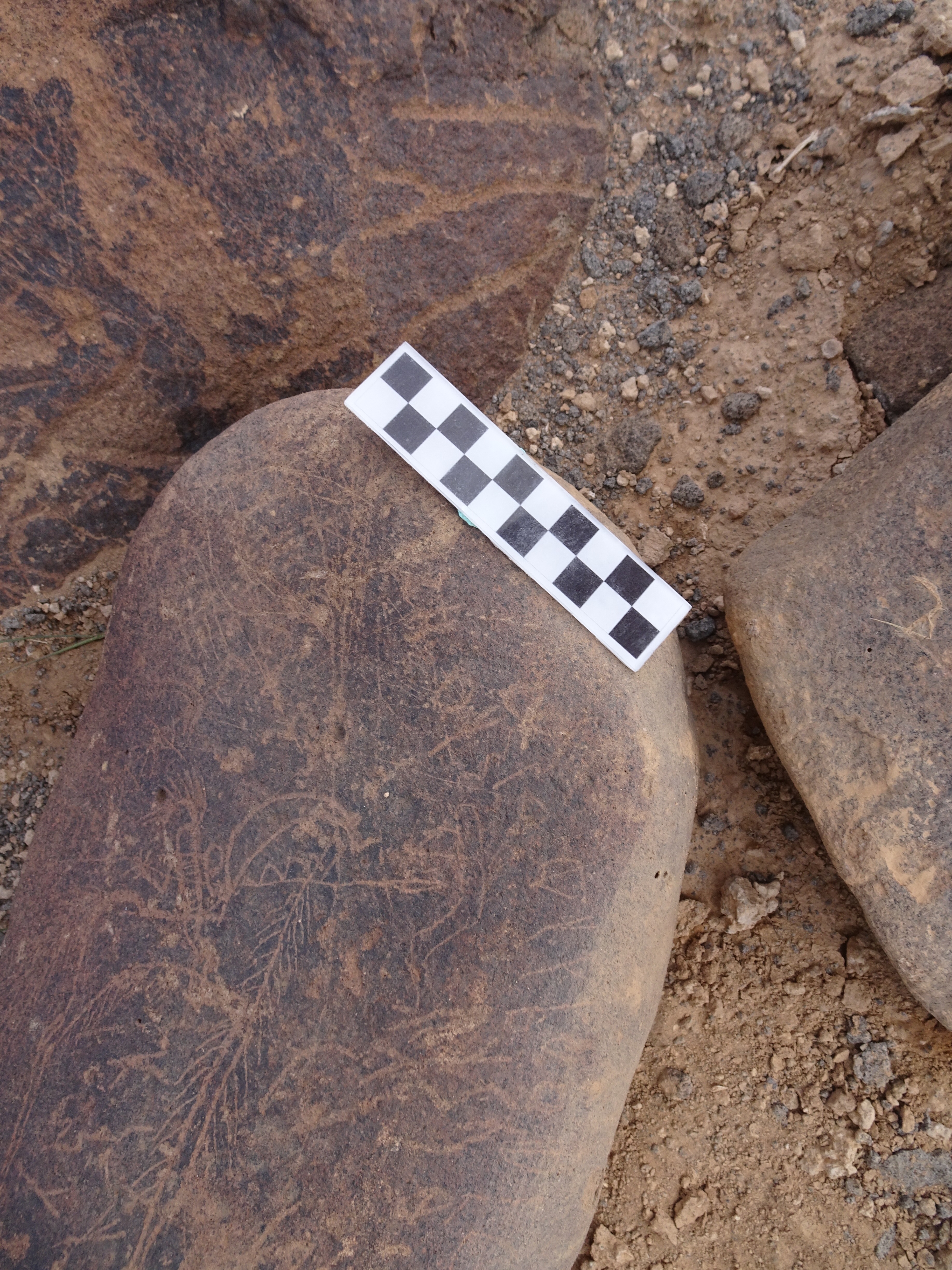 Image of siglum BES20 1835