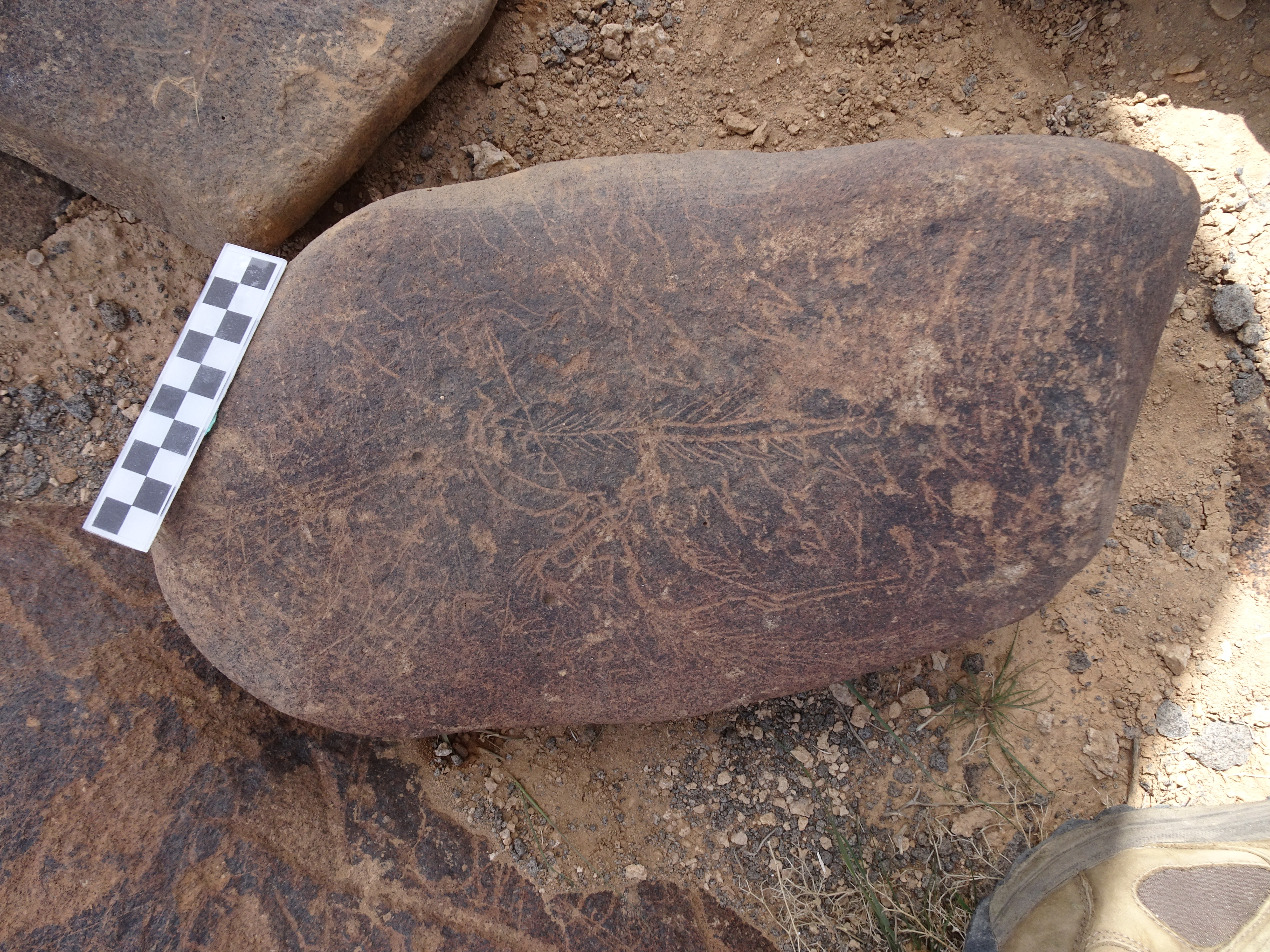 Image of siglum BES20 1835