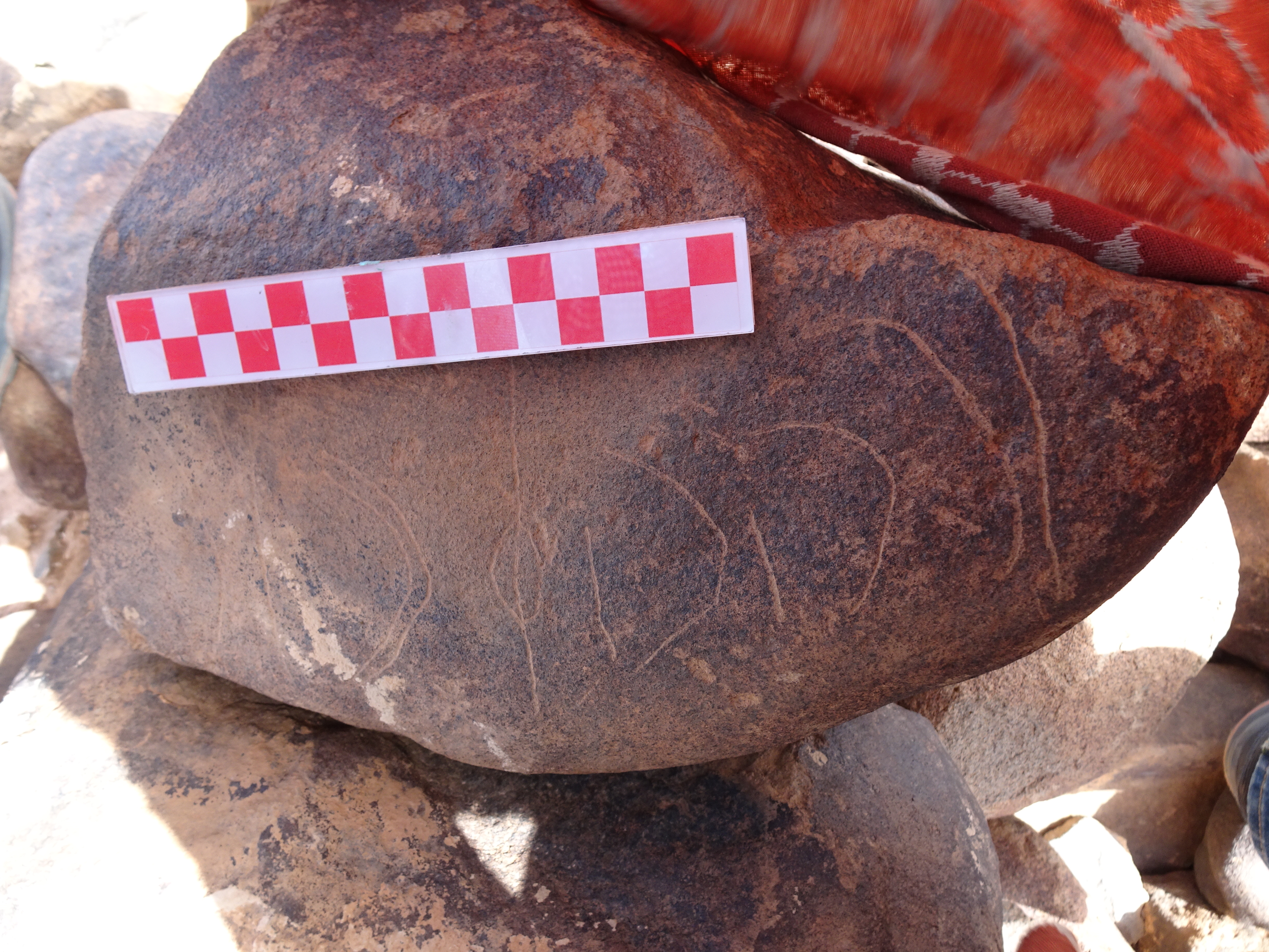 Image of siglum BES20 1836