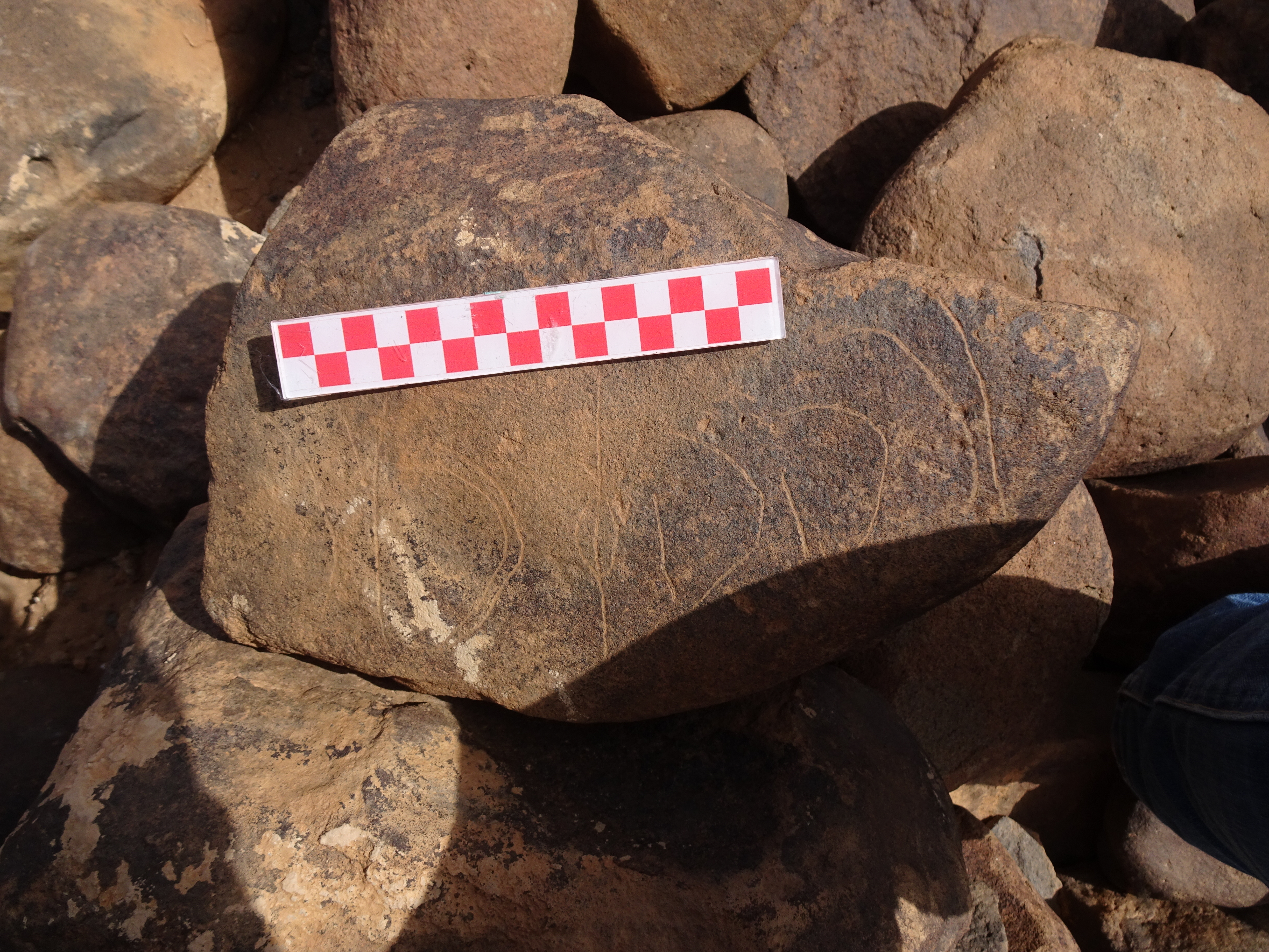 Image of siglum BES20 1836