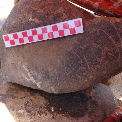 Image of siglum BES20 1836