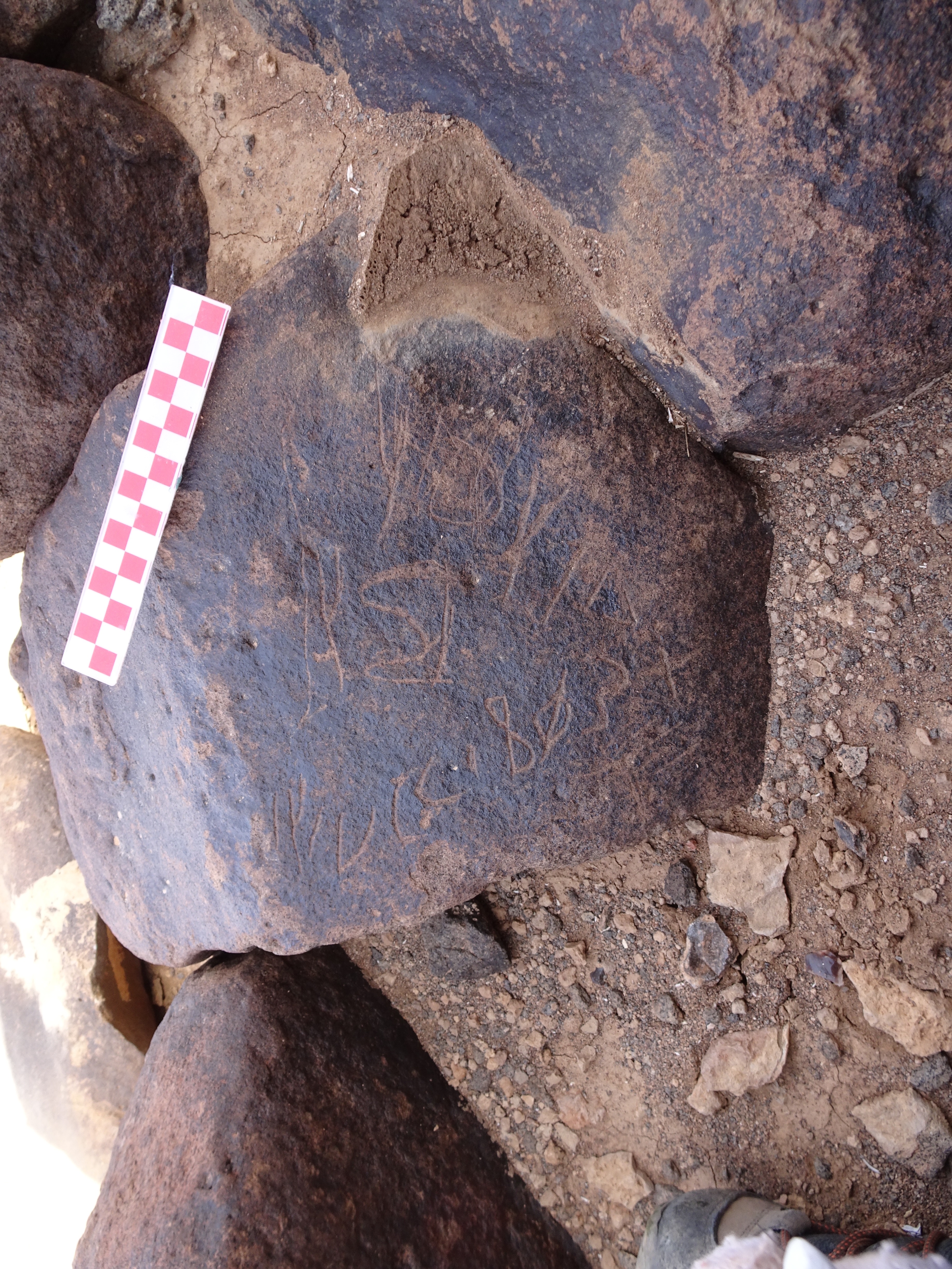 Image of siglum BES20 1837