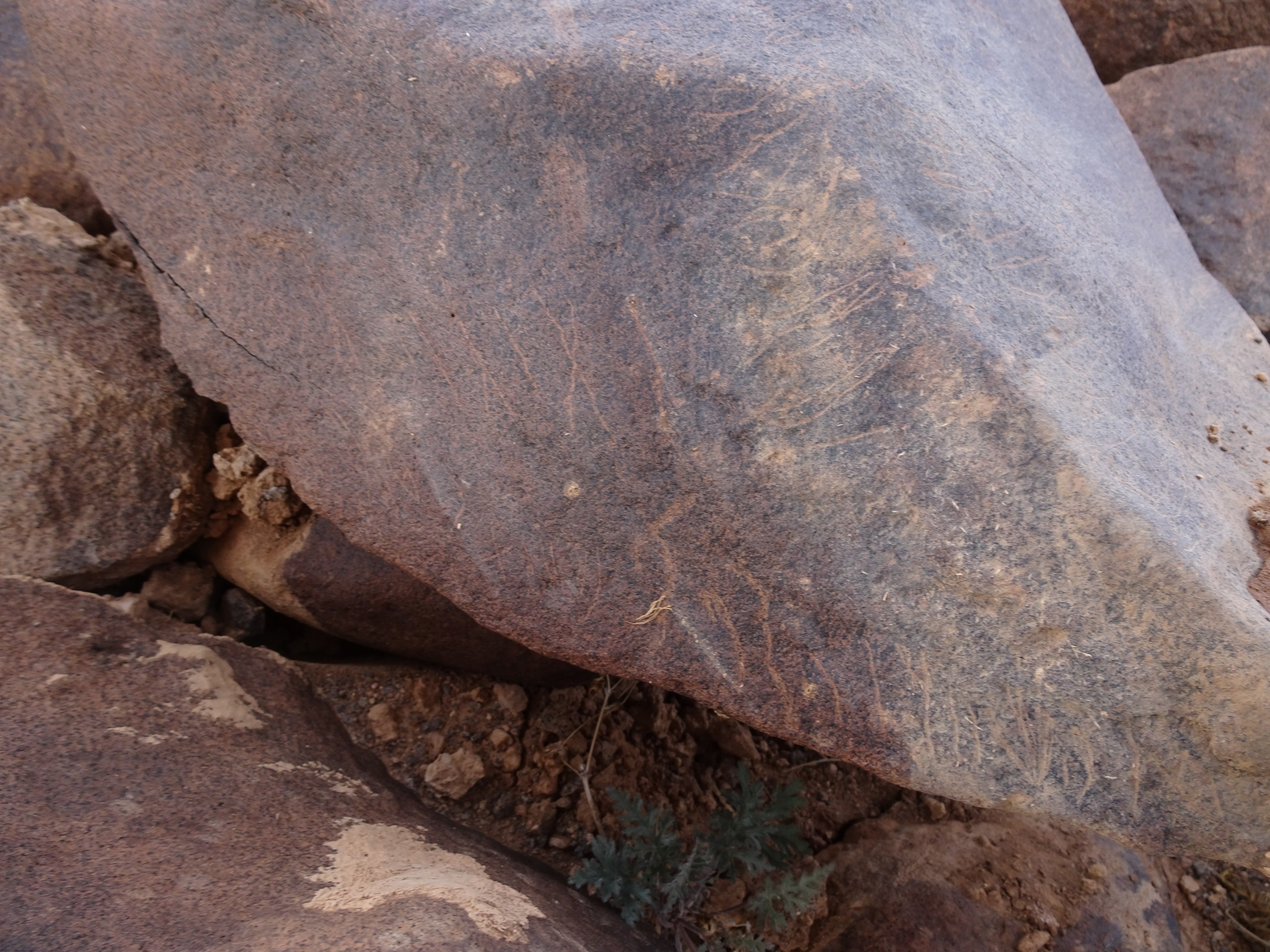 Image of siglum BES20 1838