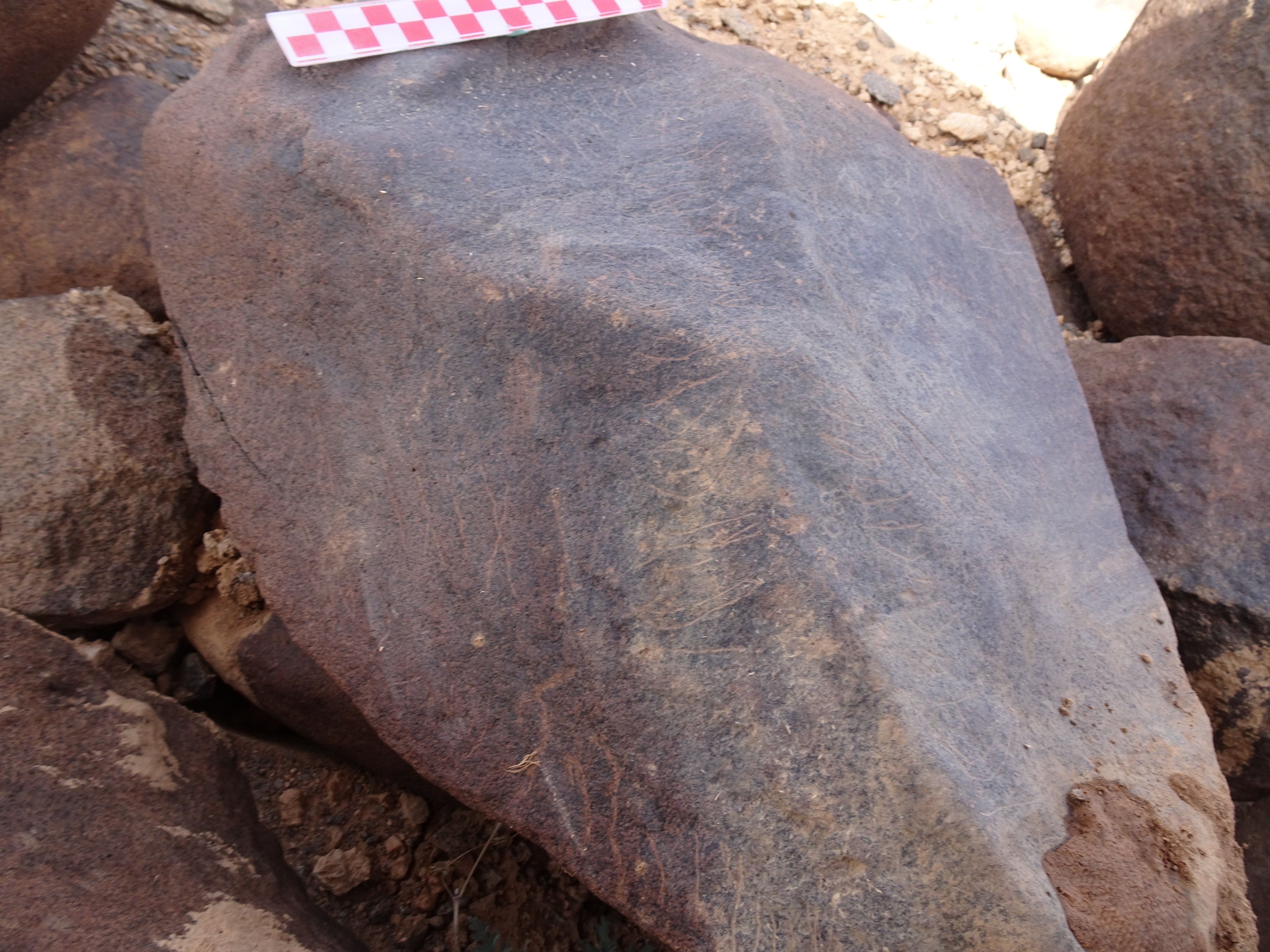 Image of siglum BES20 1838