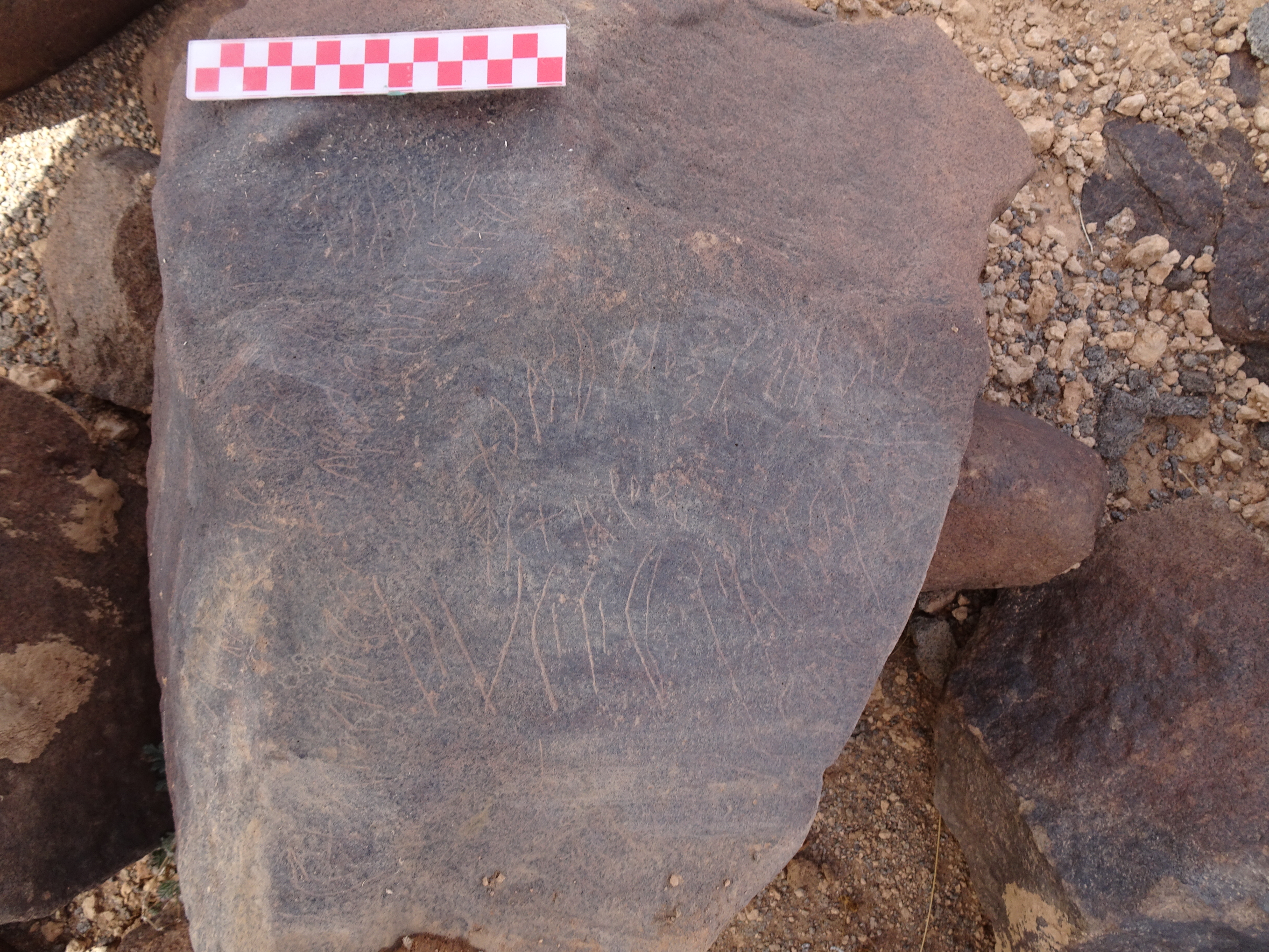 Image of siglum BES20 1838