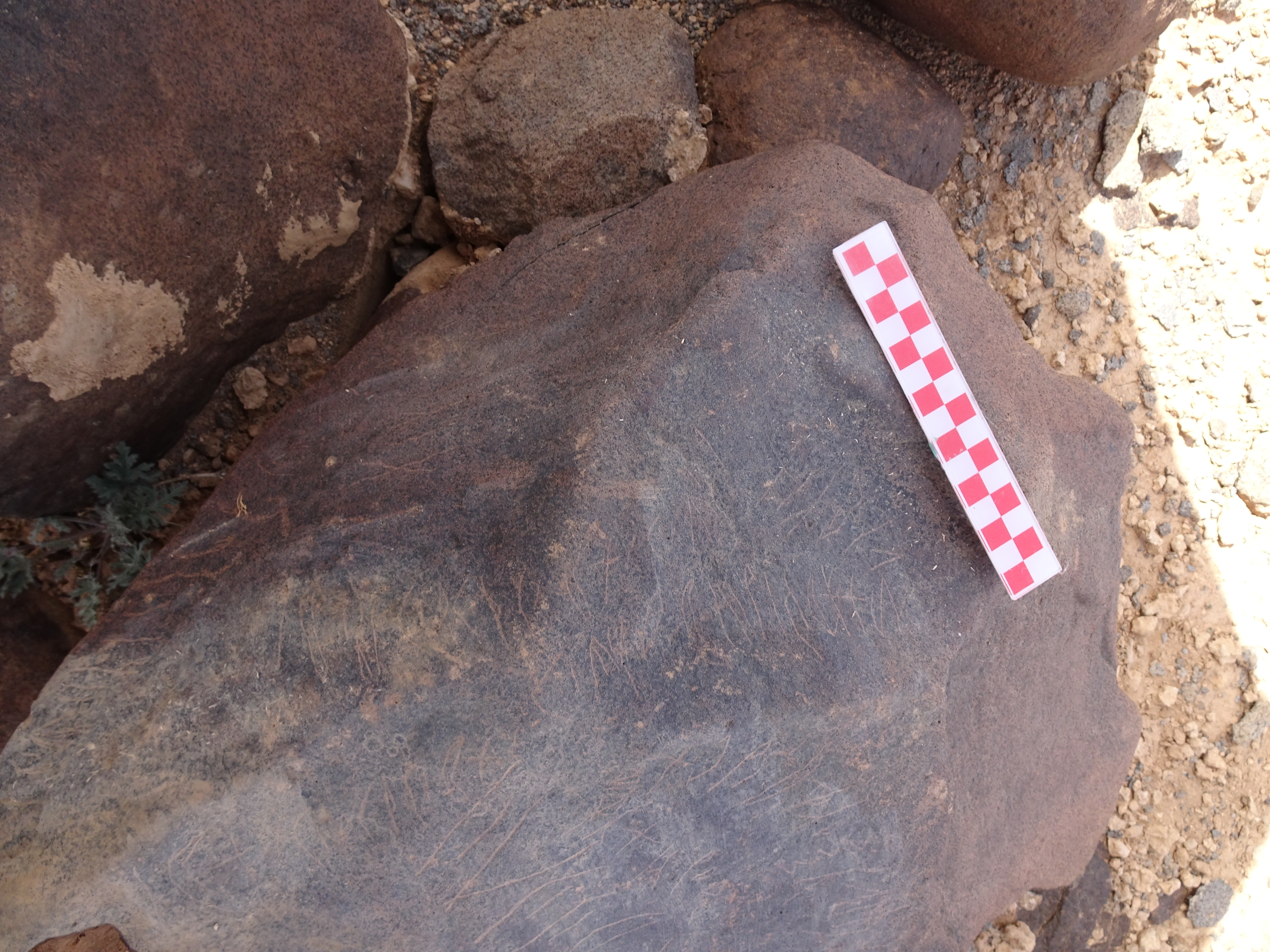 Image of siglum BES20 1838