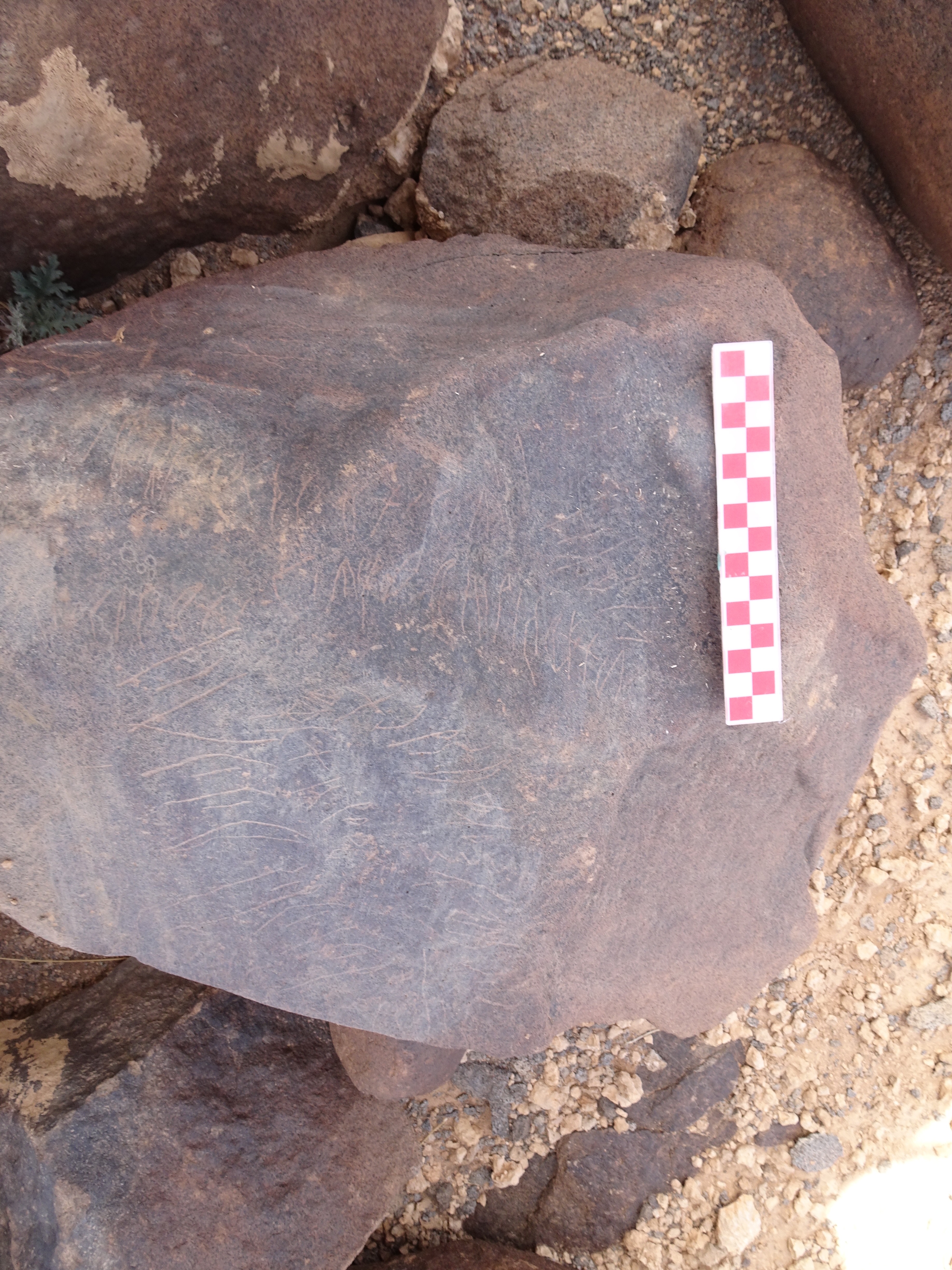 Image of siglum BES20 1838