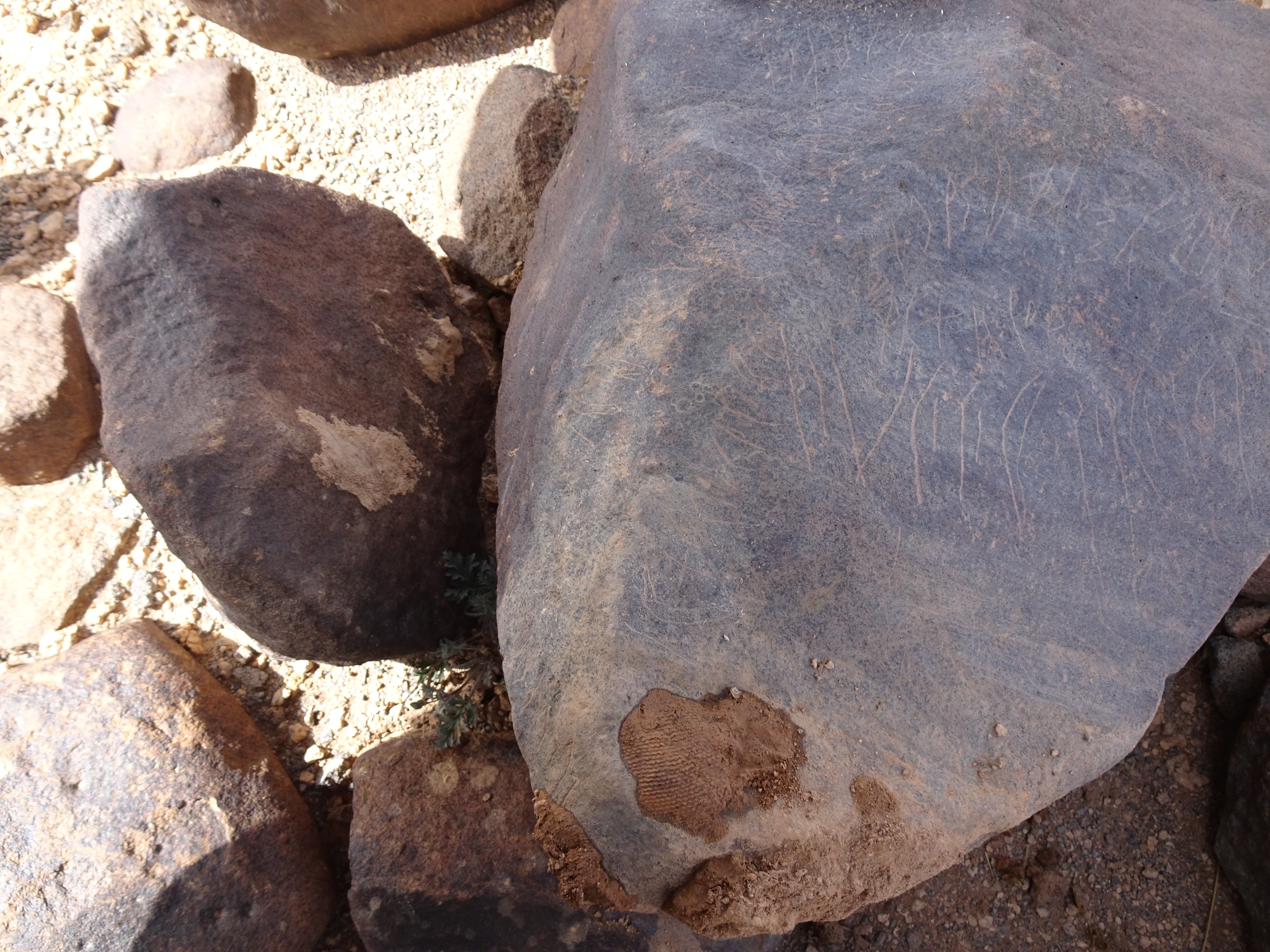 Image of siglum BES20 1839